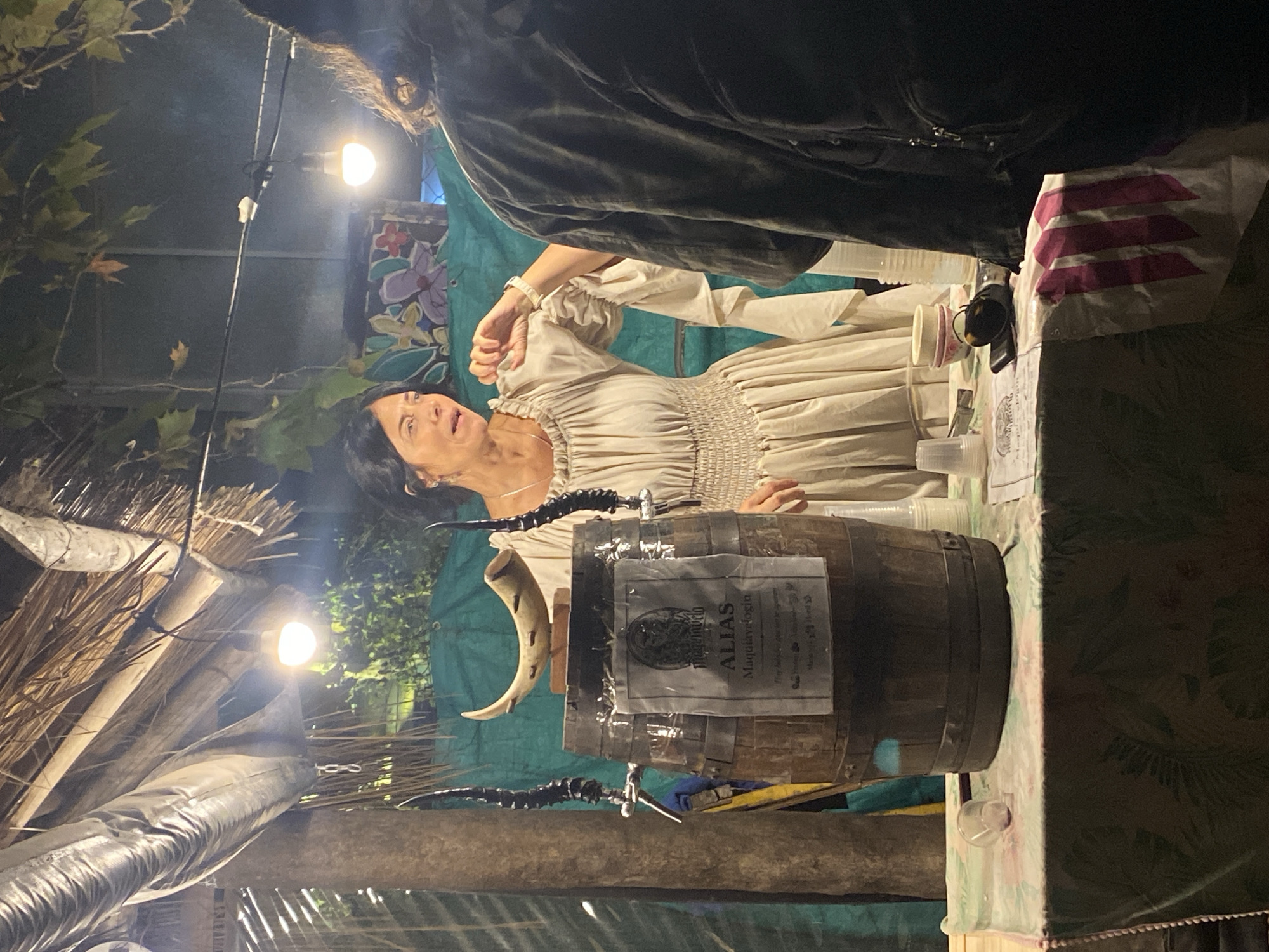 Medieval market festival draws costumed crowds in Buenos Aires
