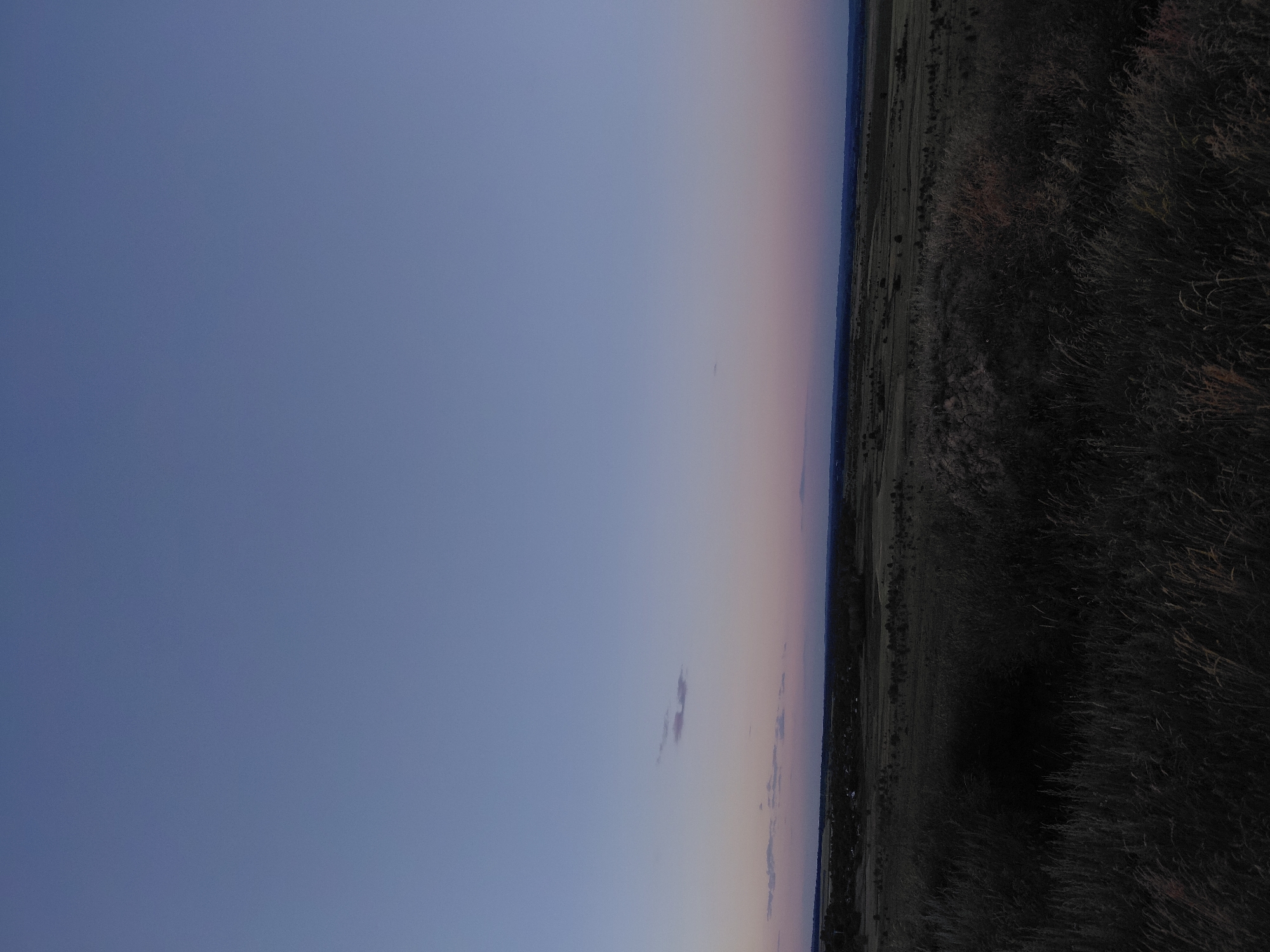 Paragliding hilltop at dusk, Ukrainian flag, sunflower fields below