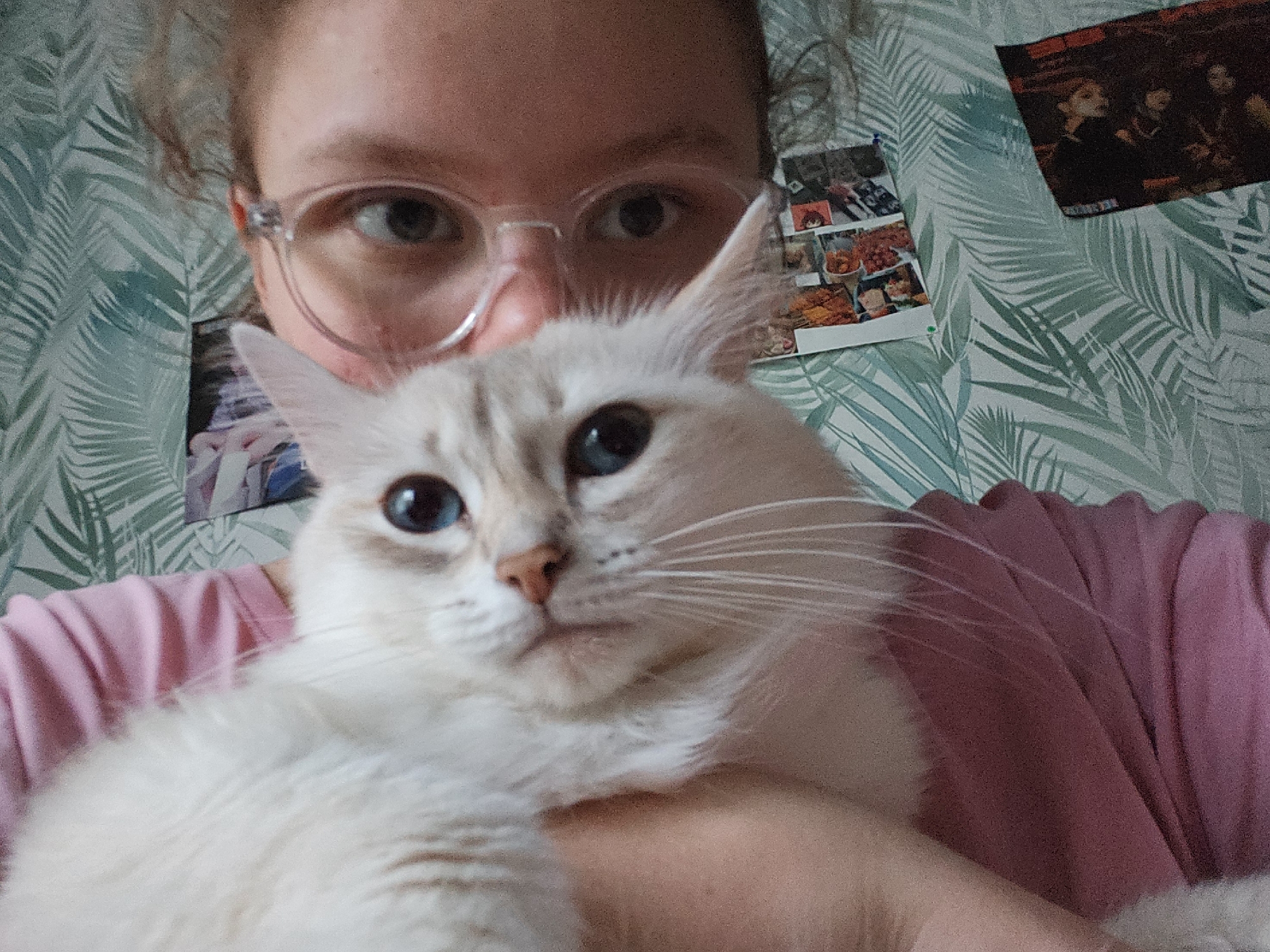 Cat and owner share quiet afternoon moments at home