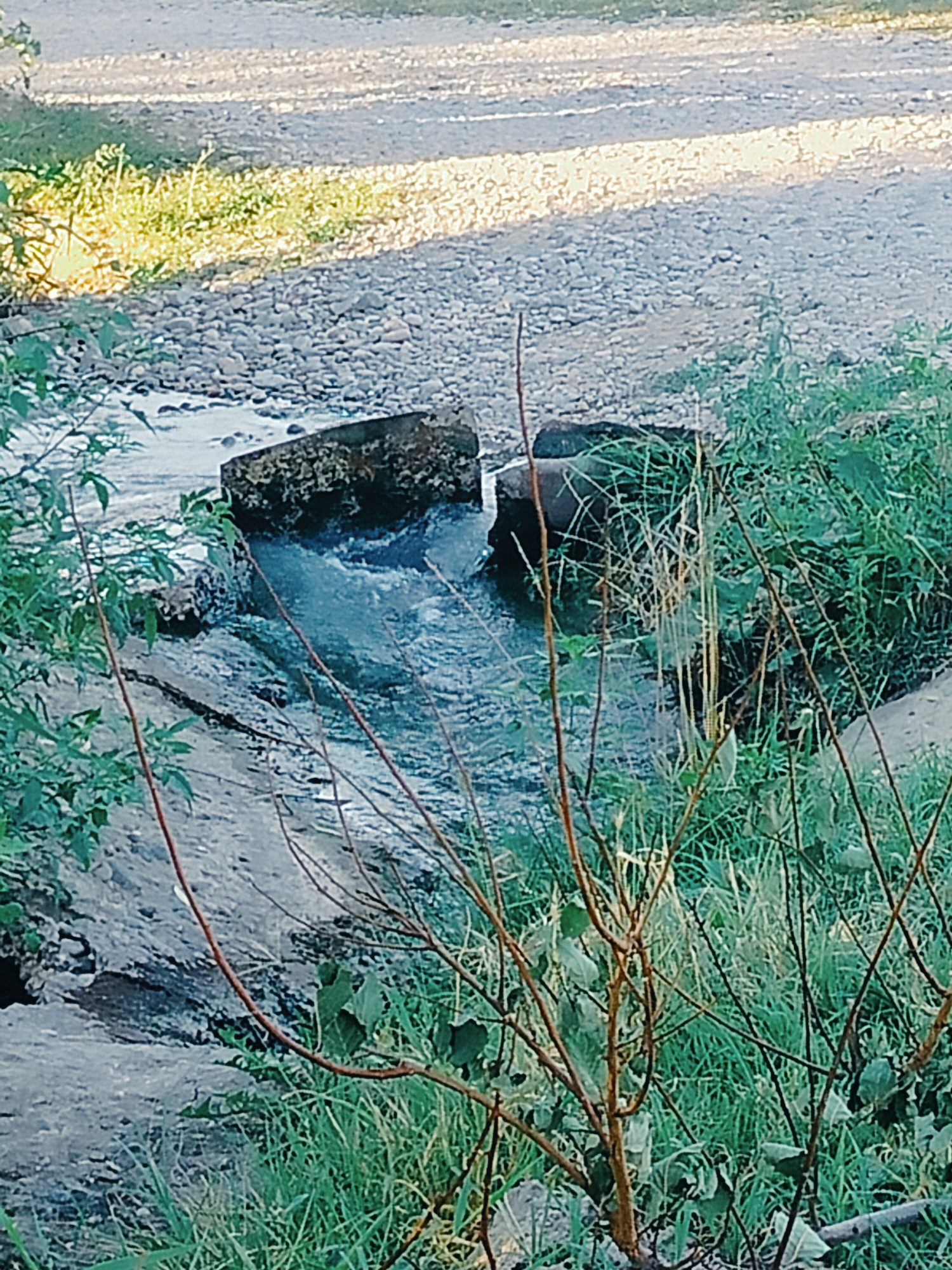 Көлкент, Kazakhstan