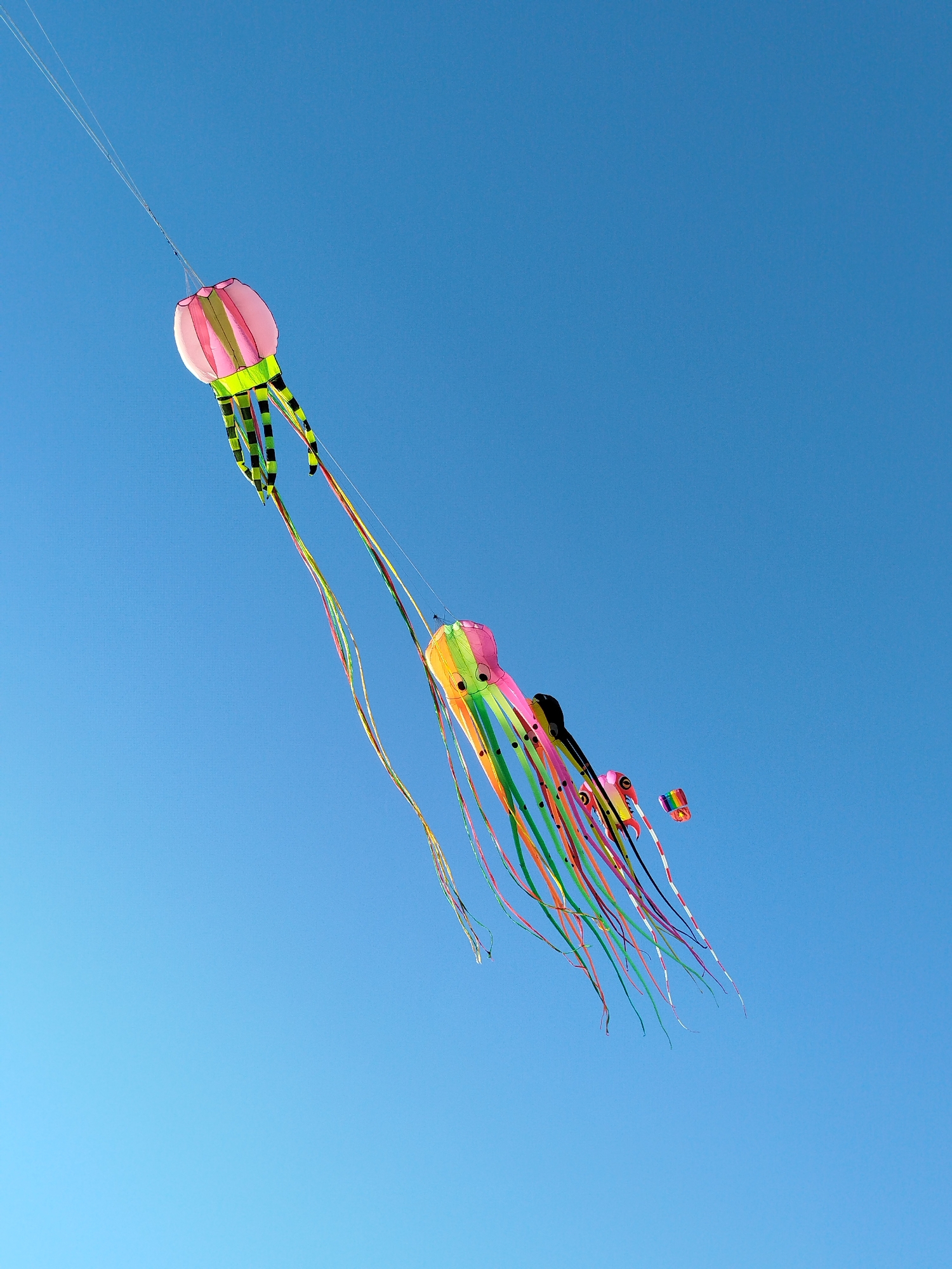 Jellyfish-shaped kites fly over Ho Chi Minh City park
