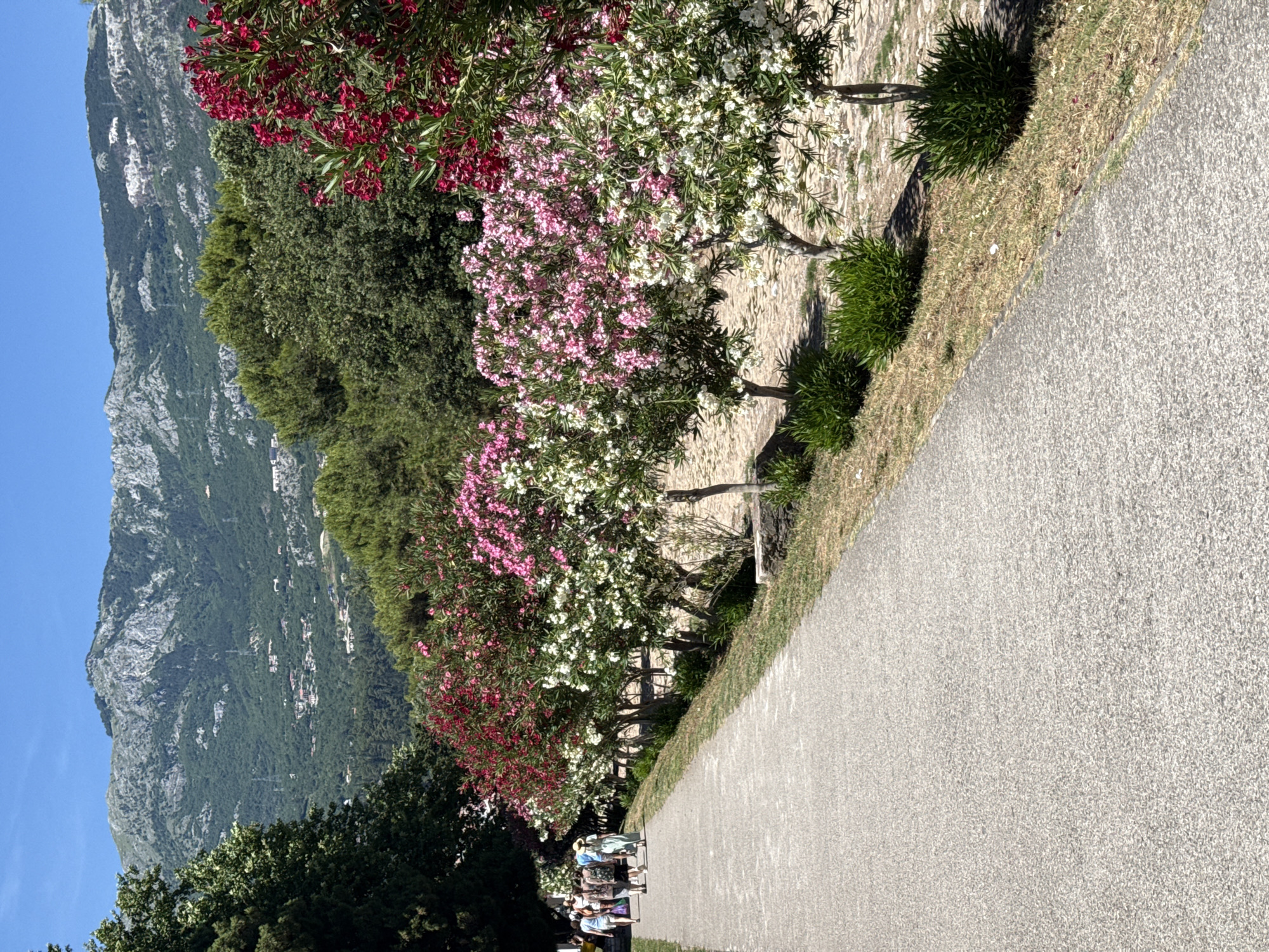 Sunny afternoon stroll through flowering Budva streets and markets