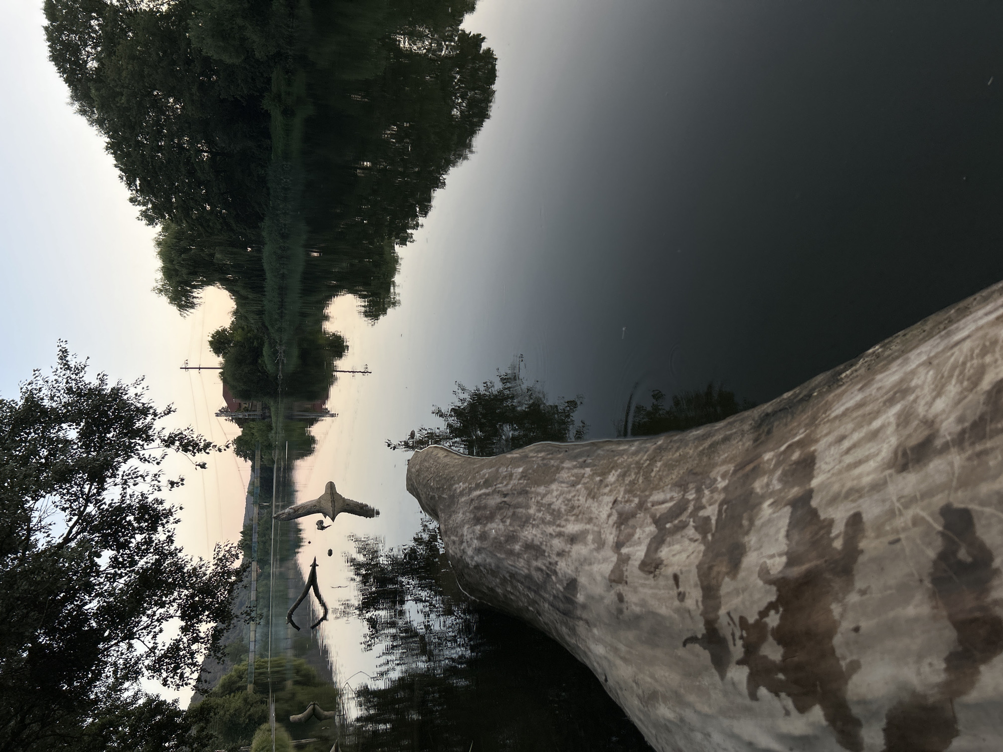 Riverside evening at a fallen log near Kamianytsia