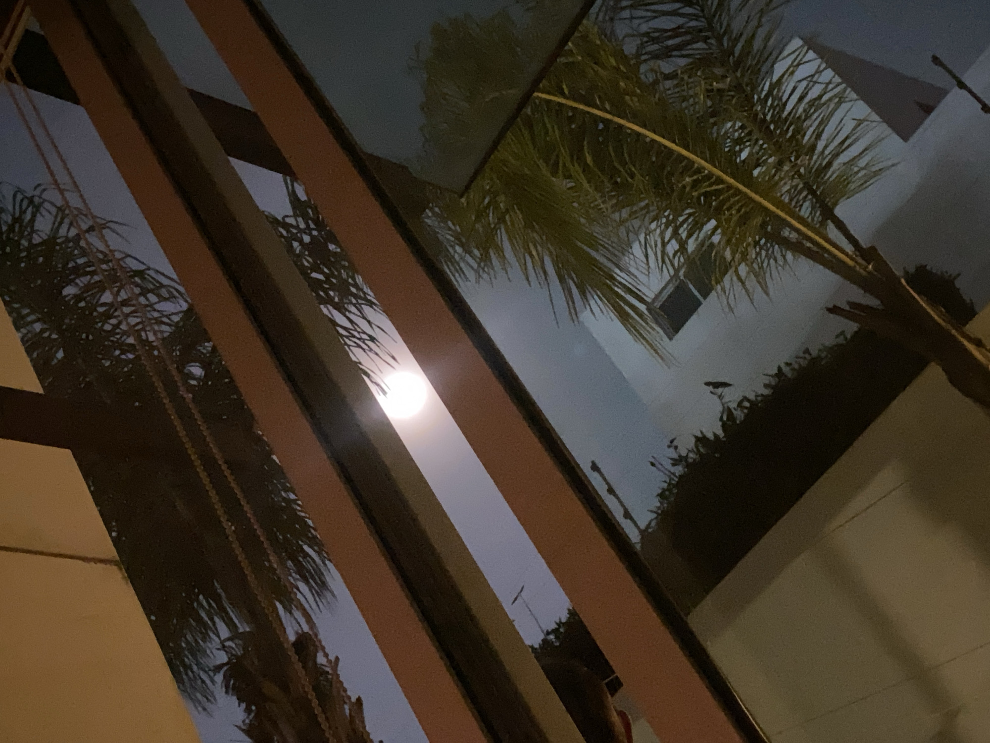 Quiet night documented through selfies, skies, roses in Mexico