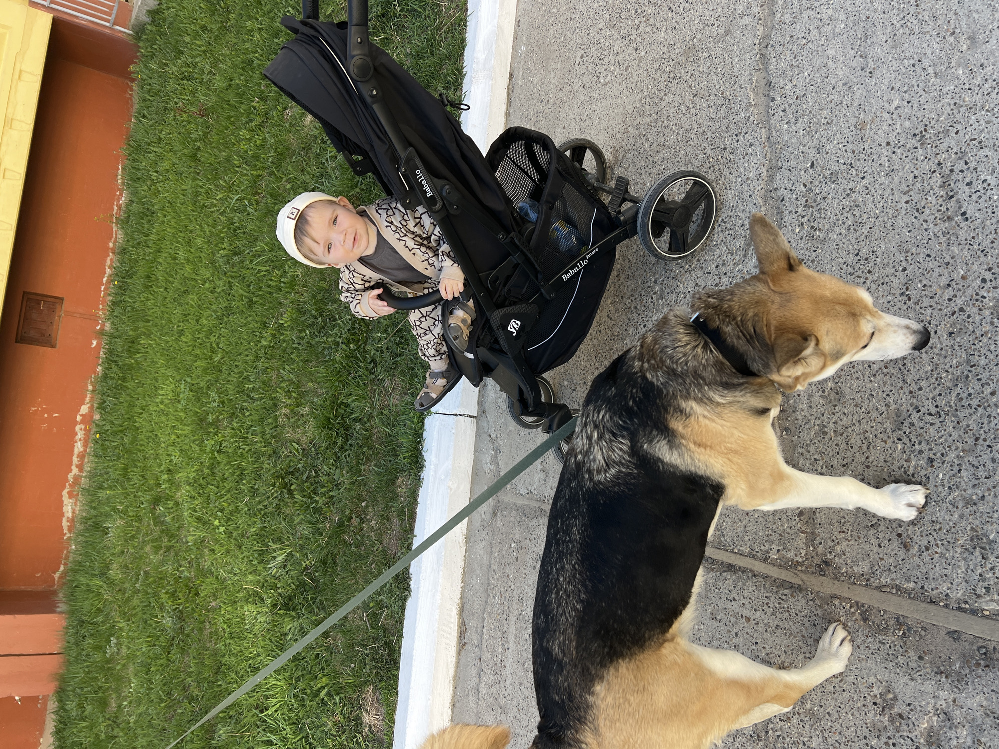 Family enjoys sunny stroll with baby and dog in Noviy