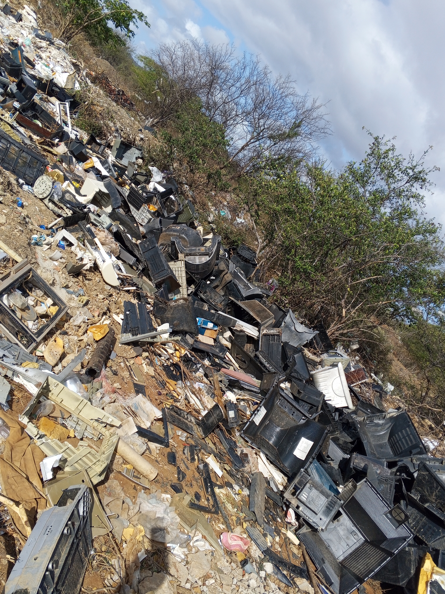 Electronic waste site documented with animals present amid debris