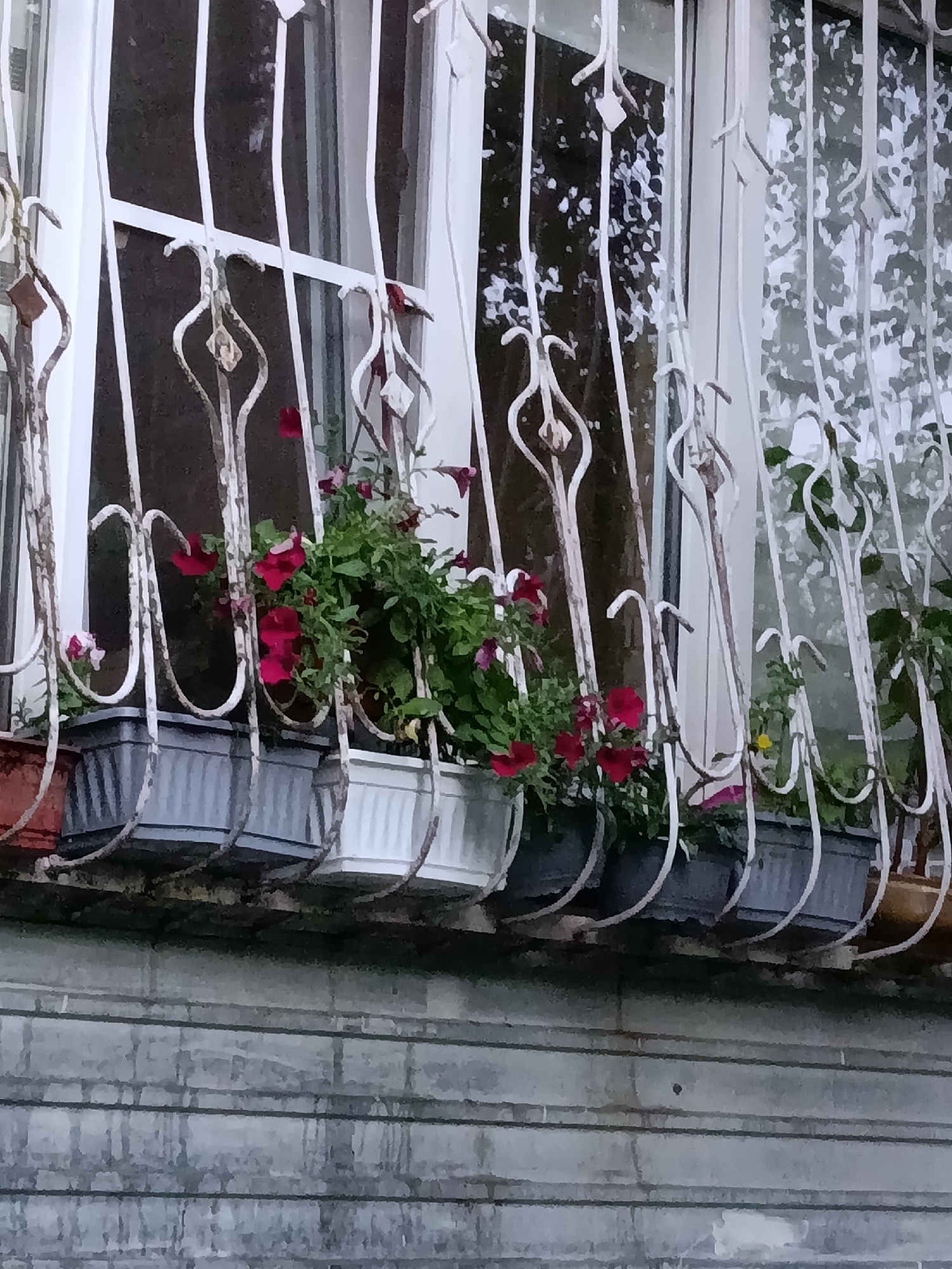 Residential greenery and street scenes from Stavropol, Russia