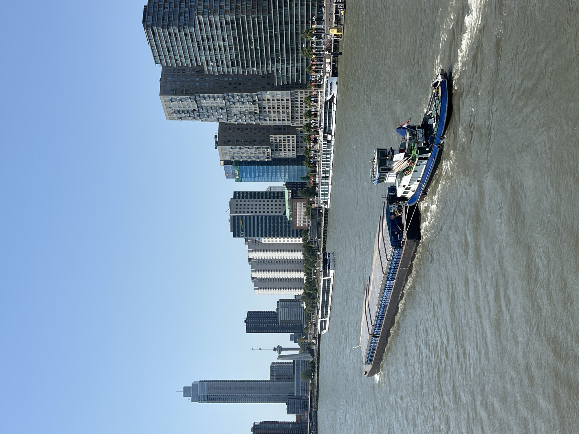 Rotterdam waterfront and city streets on a clear June morning