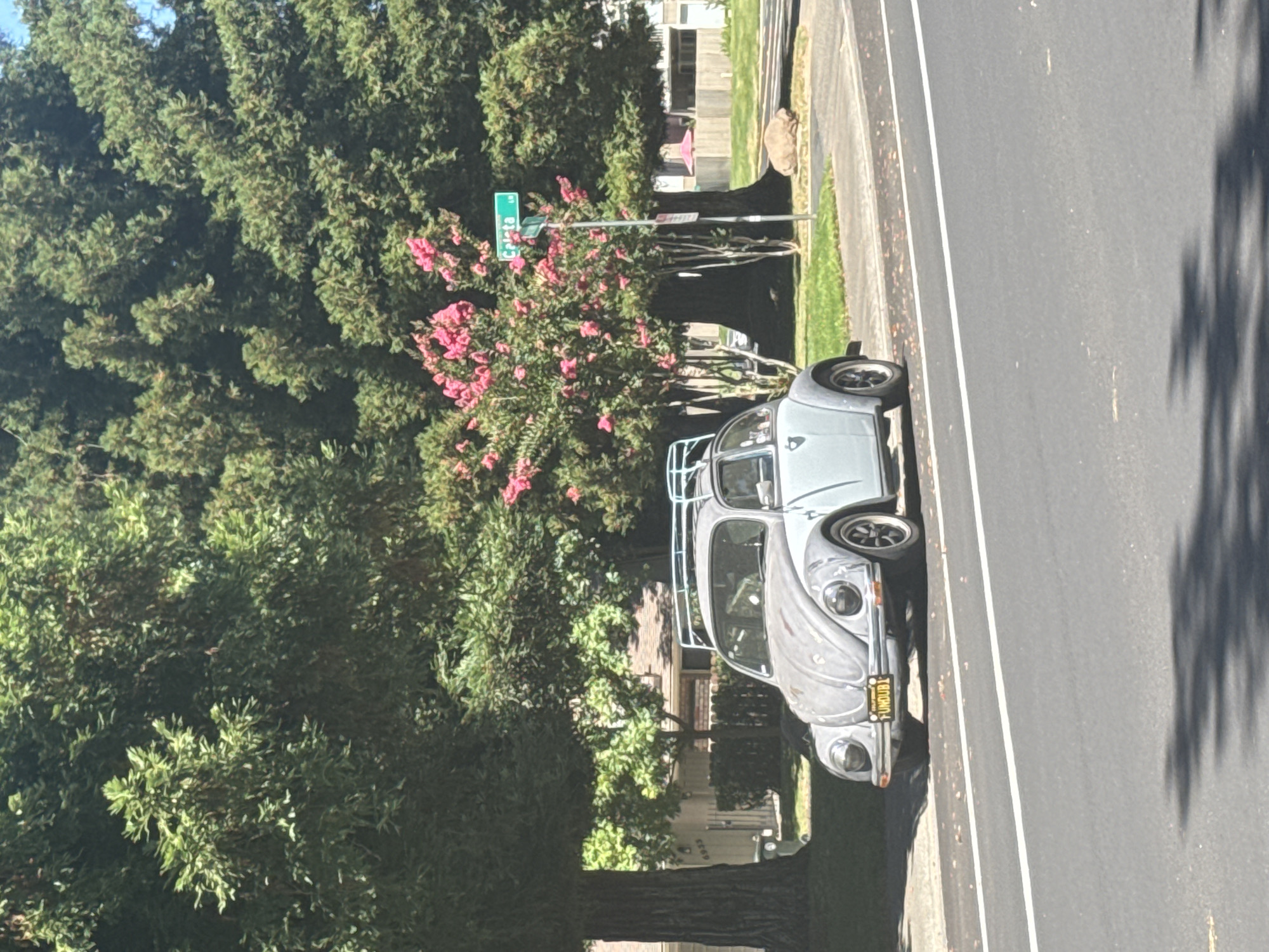 Citrus Heights, United States of America
