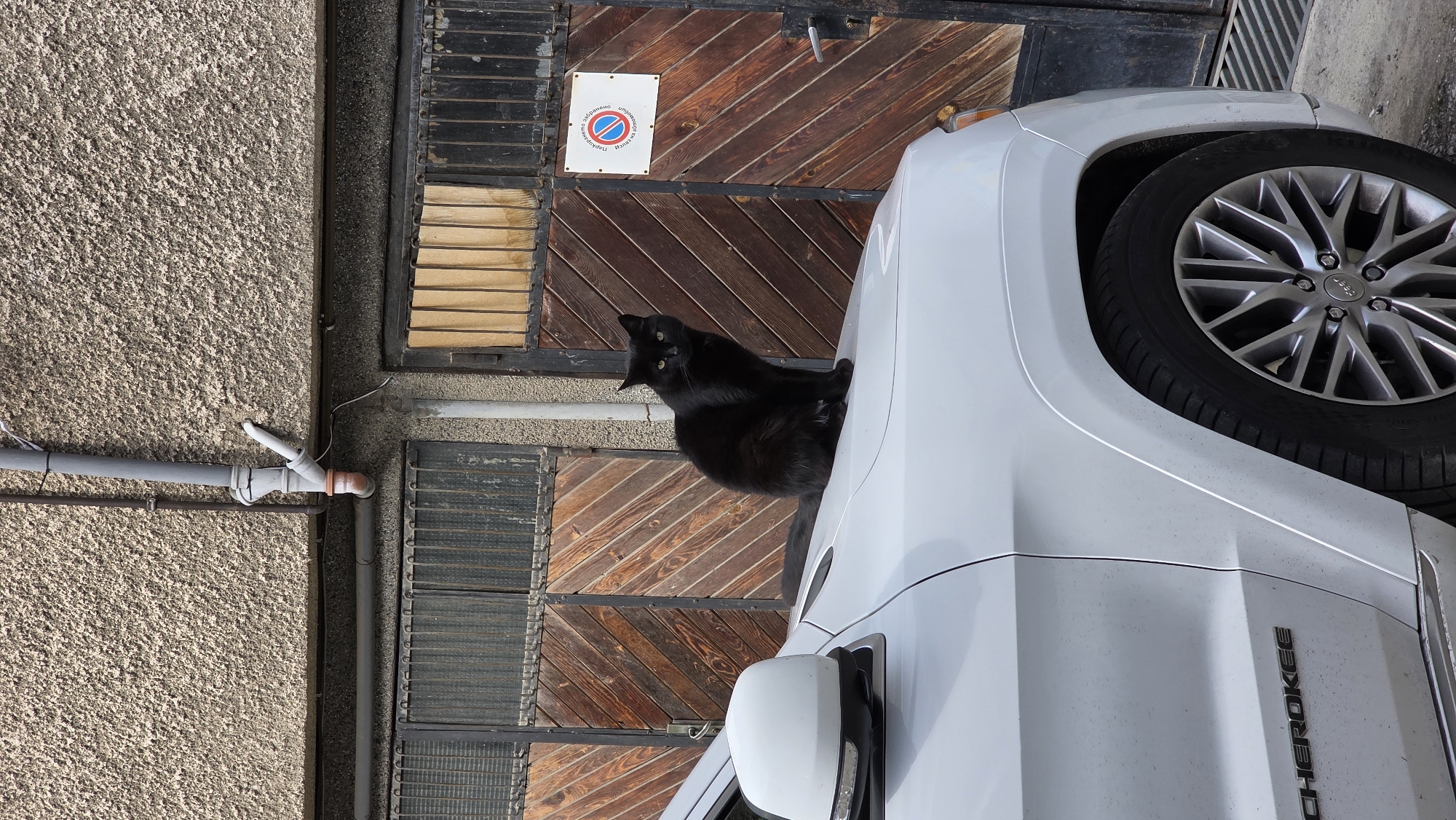 Black cat sits on parked Jeep in Blagoevgrad