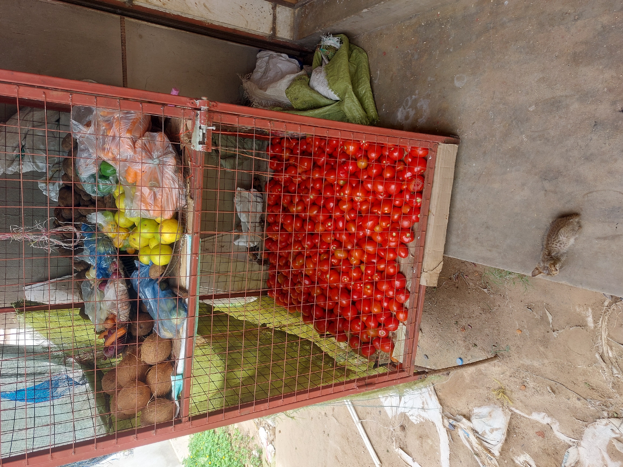 Daily life documented across Dar es-Salaam neighborhoods and markets