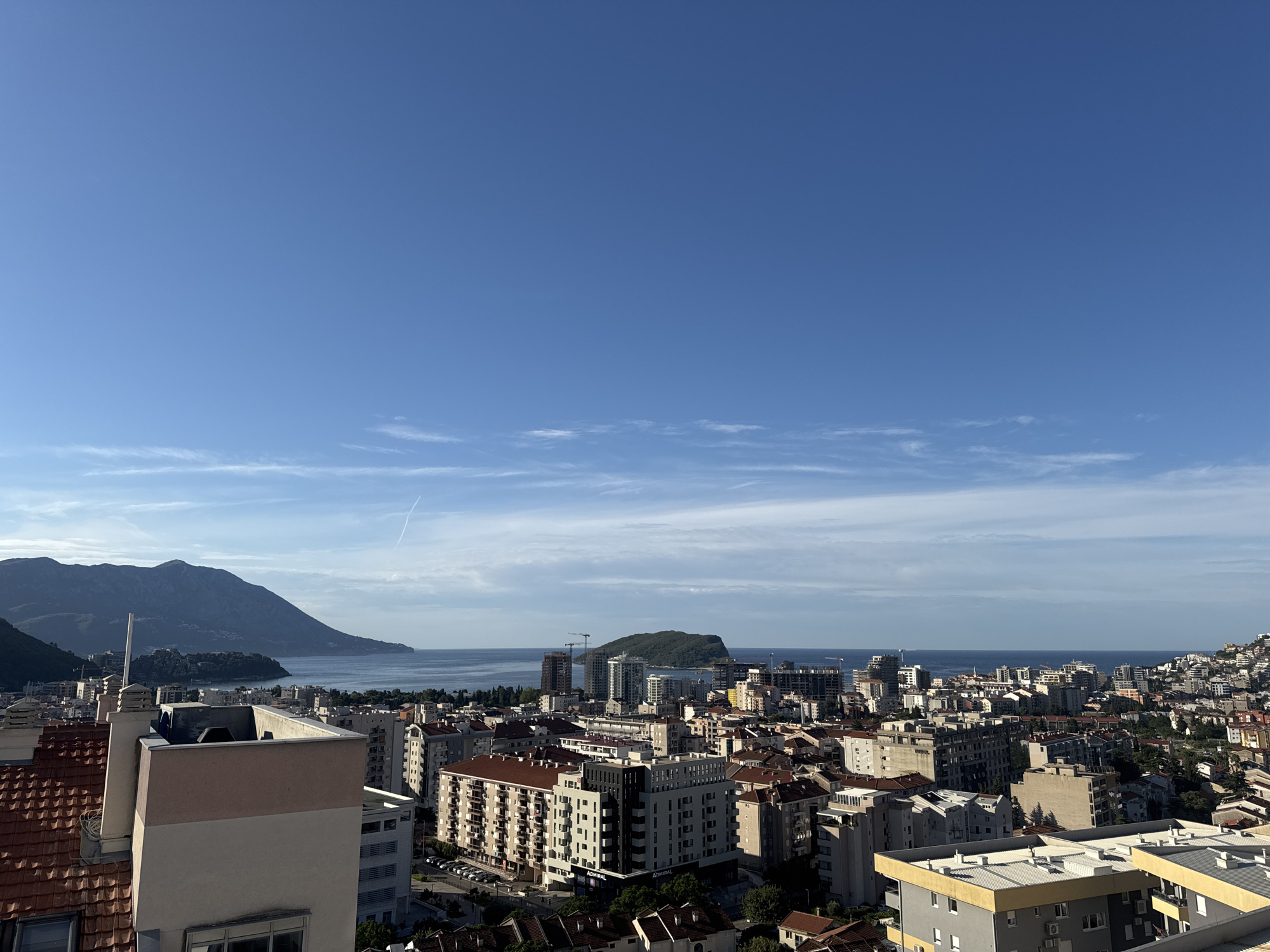 Cats, dogs, and coastline in early-morning Budva