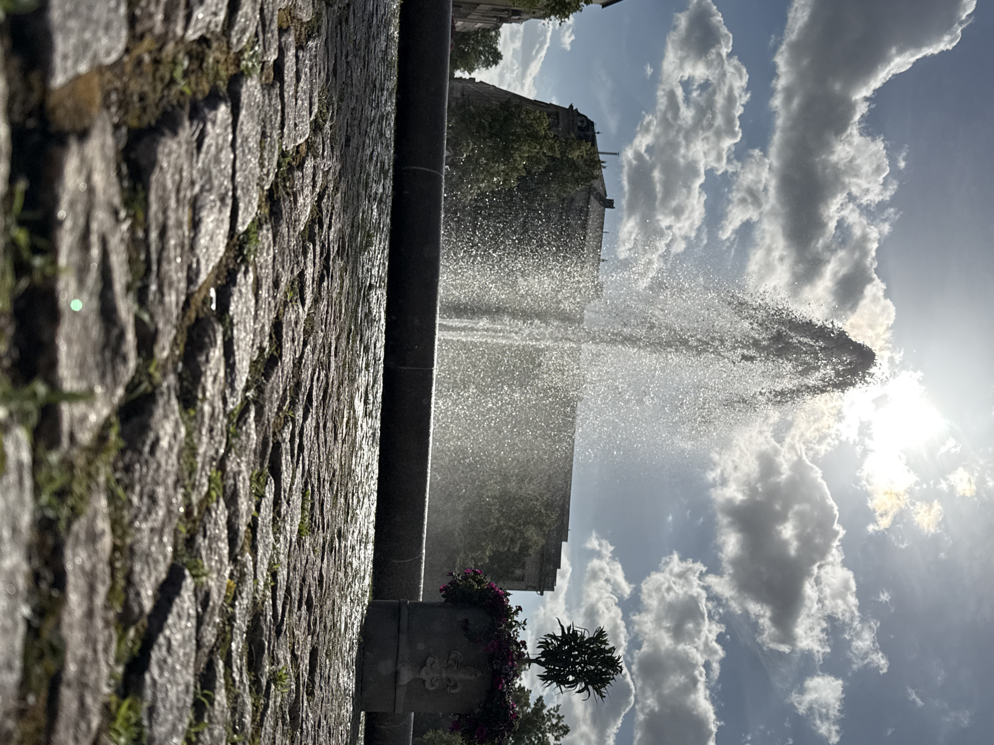 Wet cobblestones reflect sunlight near Potsdam fountain