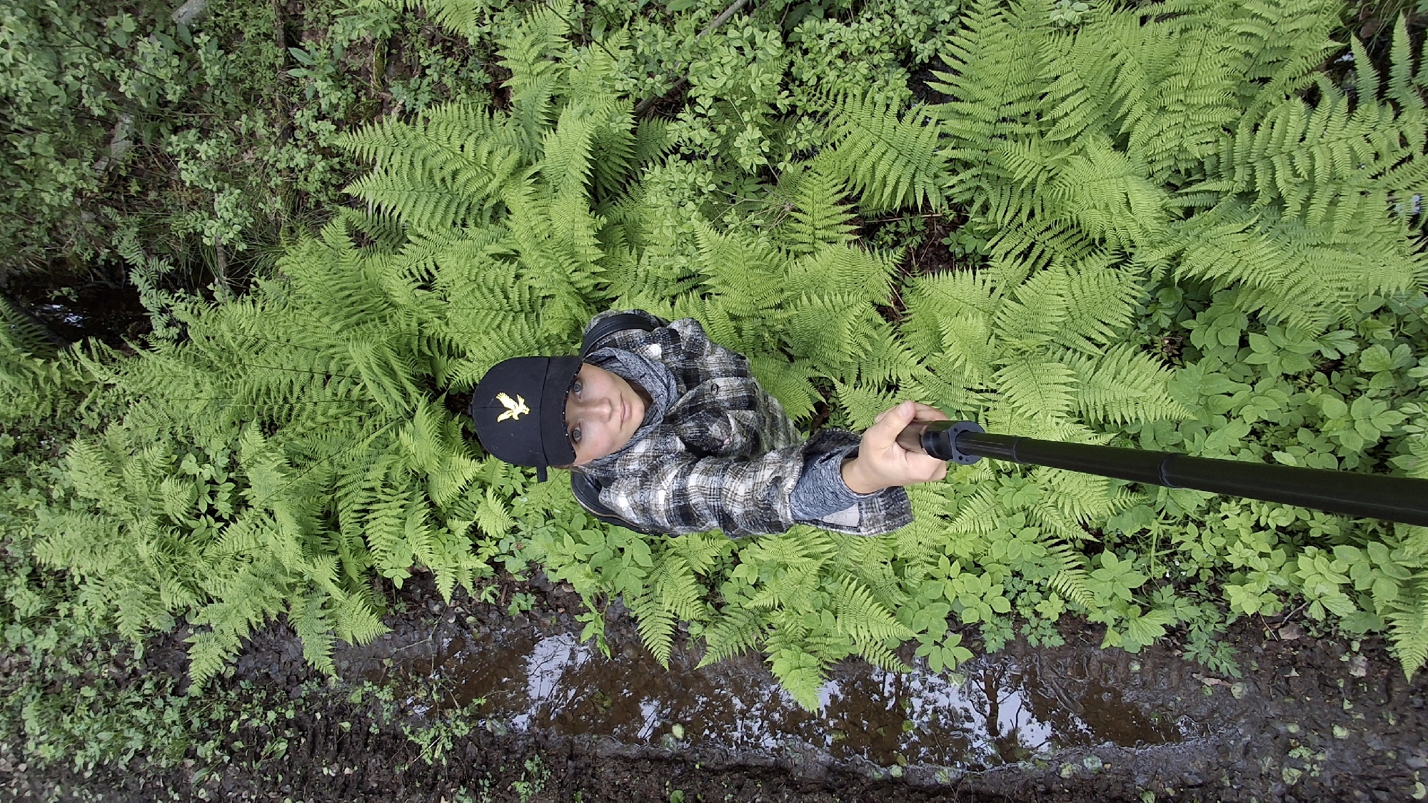 Person documents forest walk with selfies in Innolovo