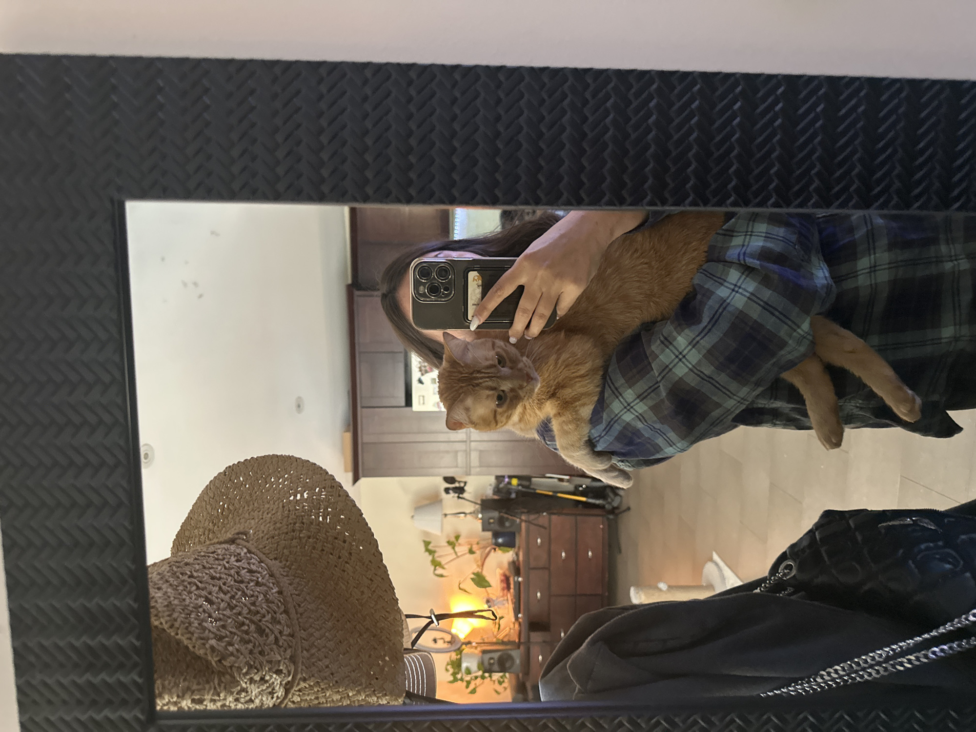 Person takes mirror selfie while holding orange cat