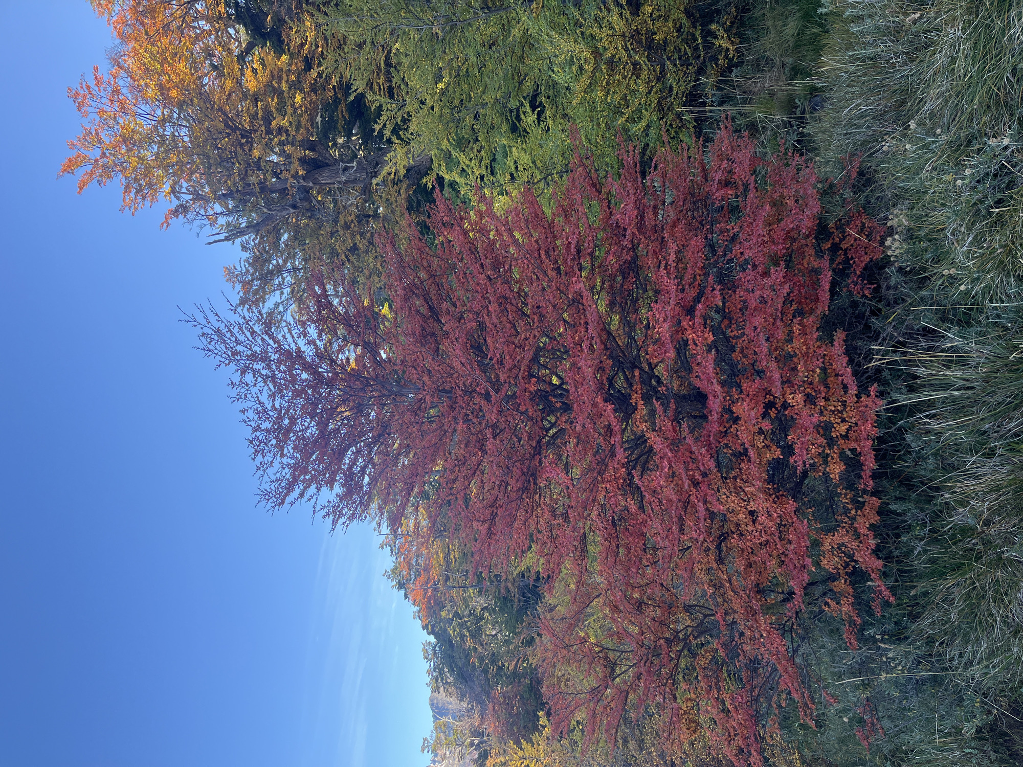 Autumn landscape and mountain views documented in southern Argentina
