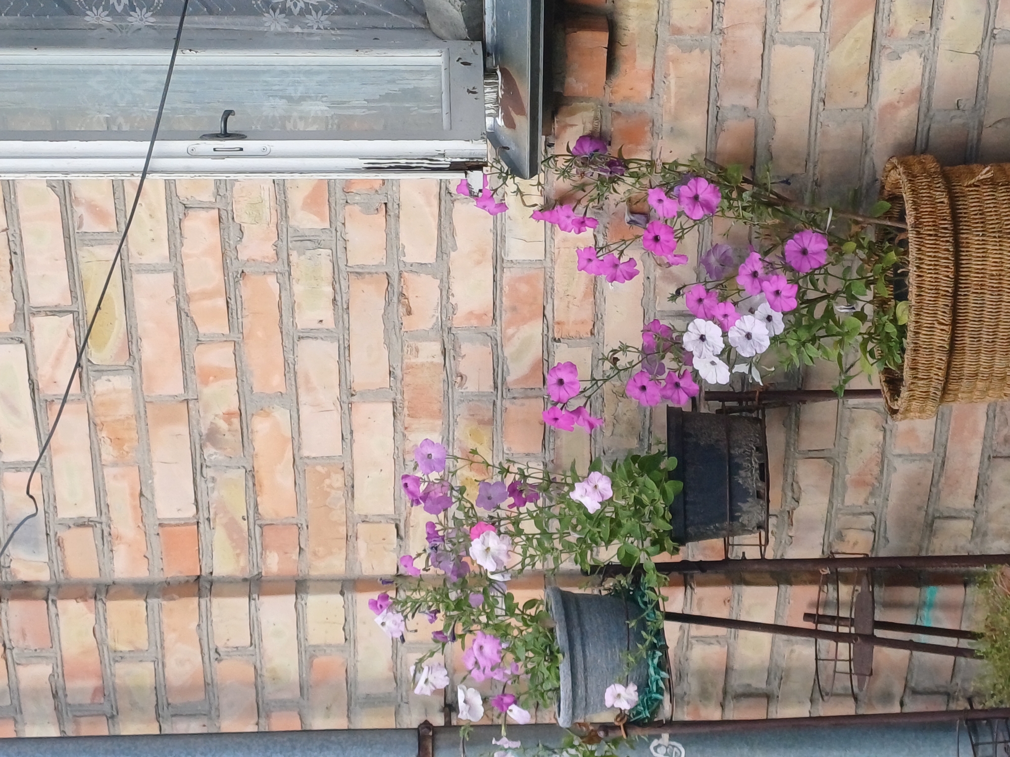Sulymivka, Ukraine