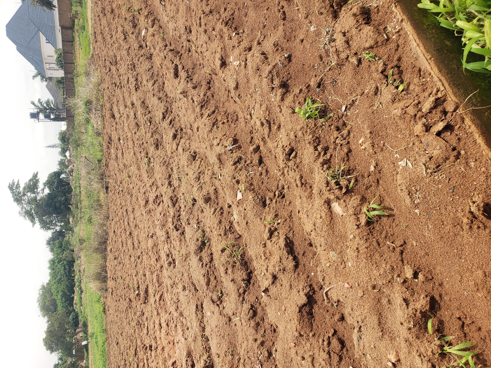 Everyday scenes documented across Jos Plateau region, Nigeria