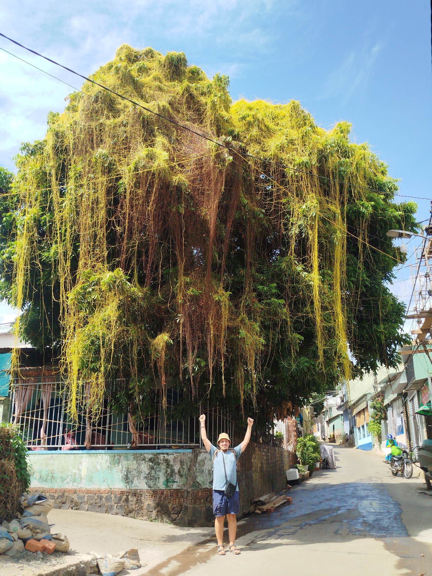 Morning street life documented across Vietnamese wards