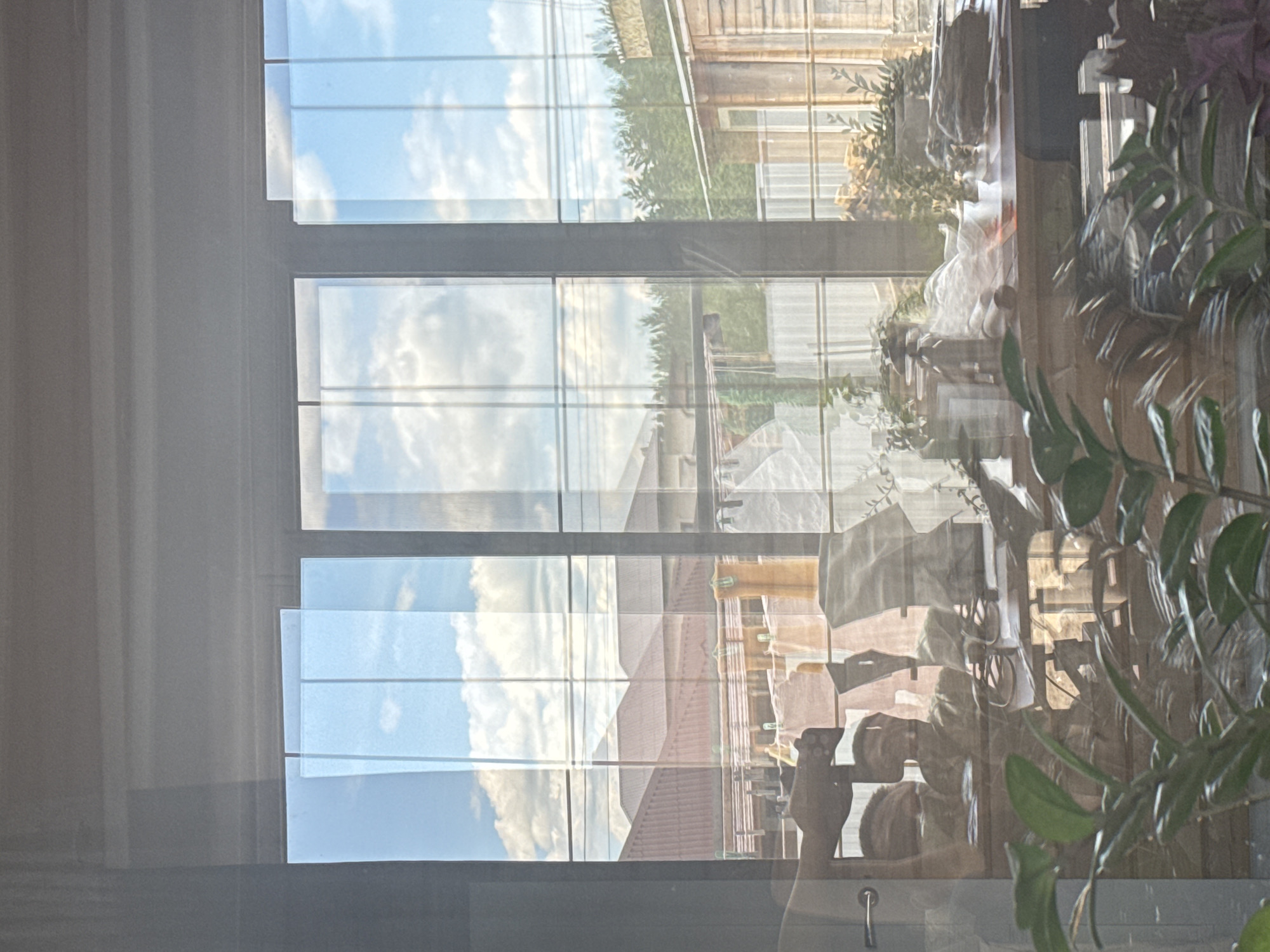 Morning reading session with plants and Napoleon Hill book