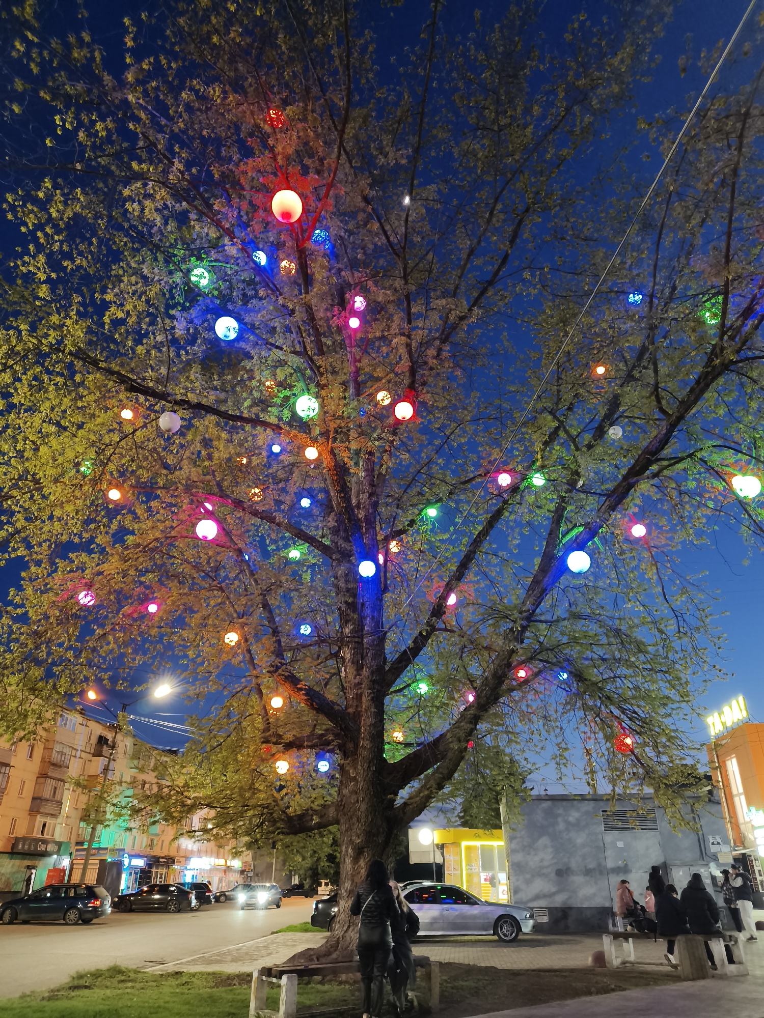 Evening lights illuminate decorated tree in Kryvyi Rih public square