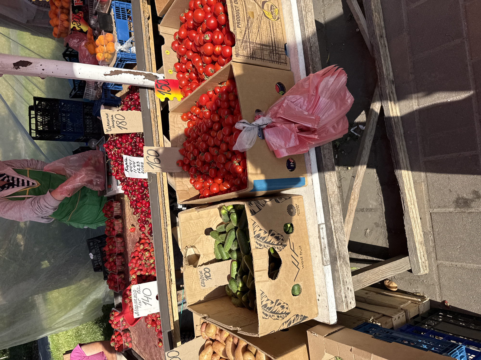 Snapshots of everyday Kyiv street life, June 2026