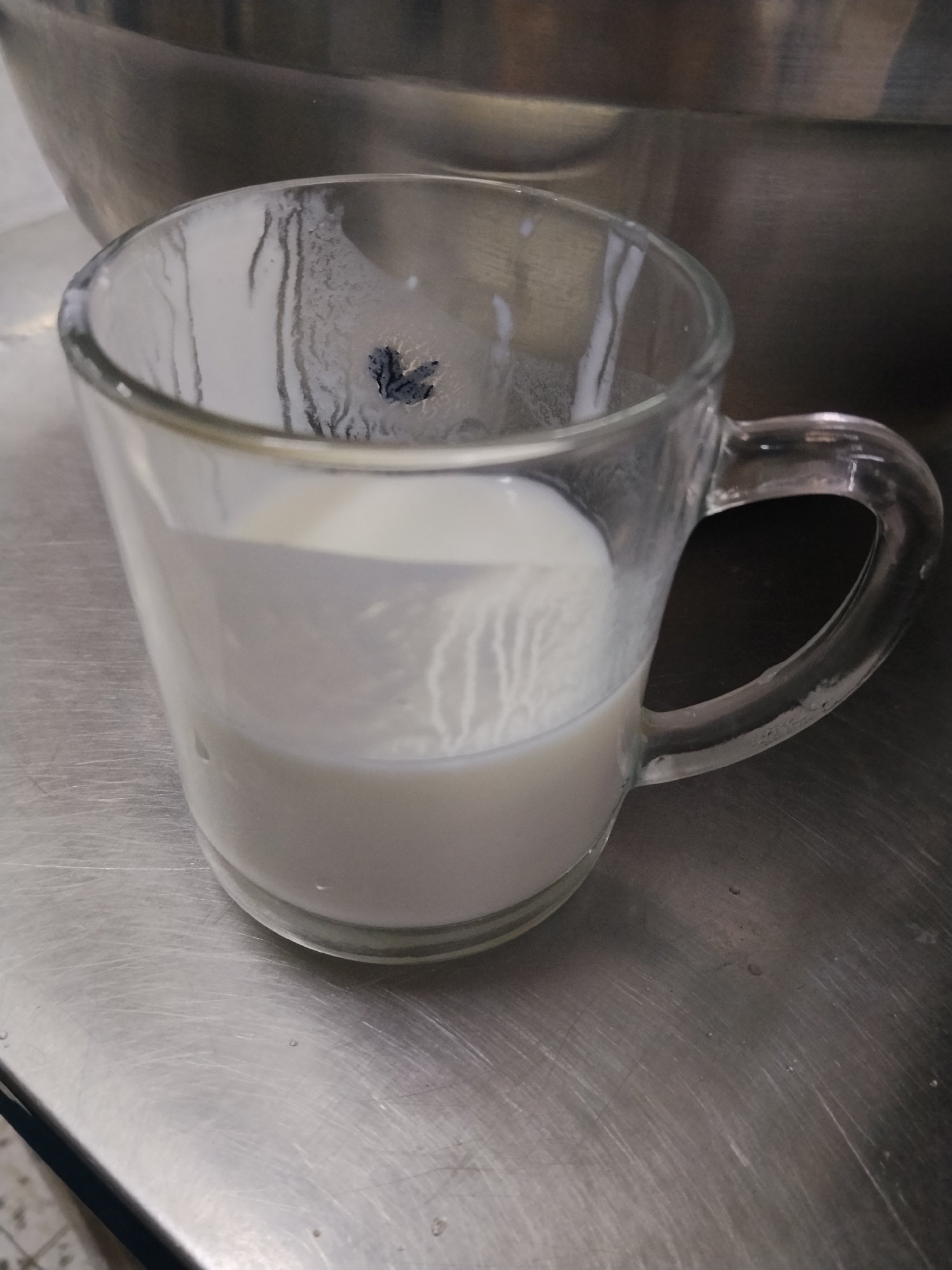 Pastry kitchen prep and wildflower close-ups from one morning