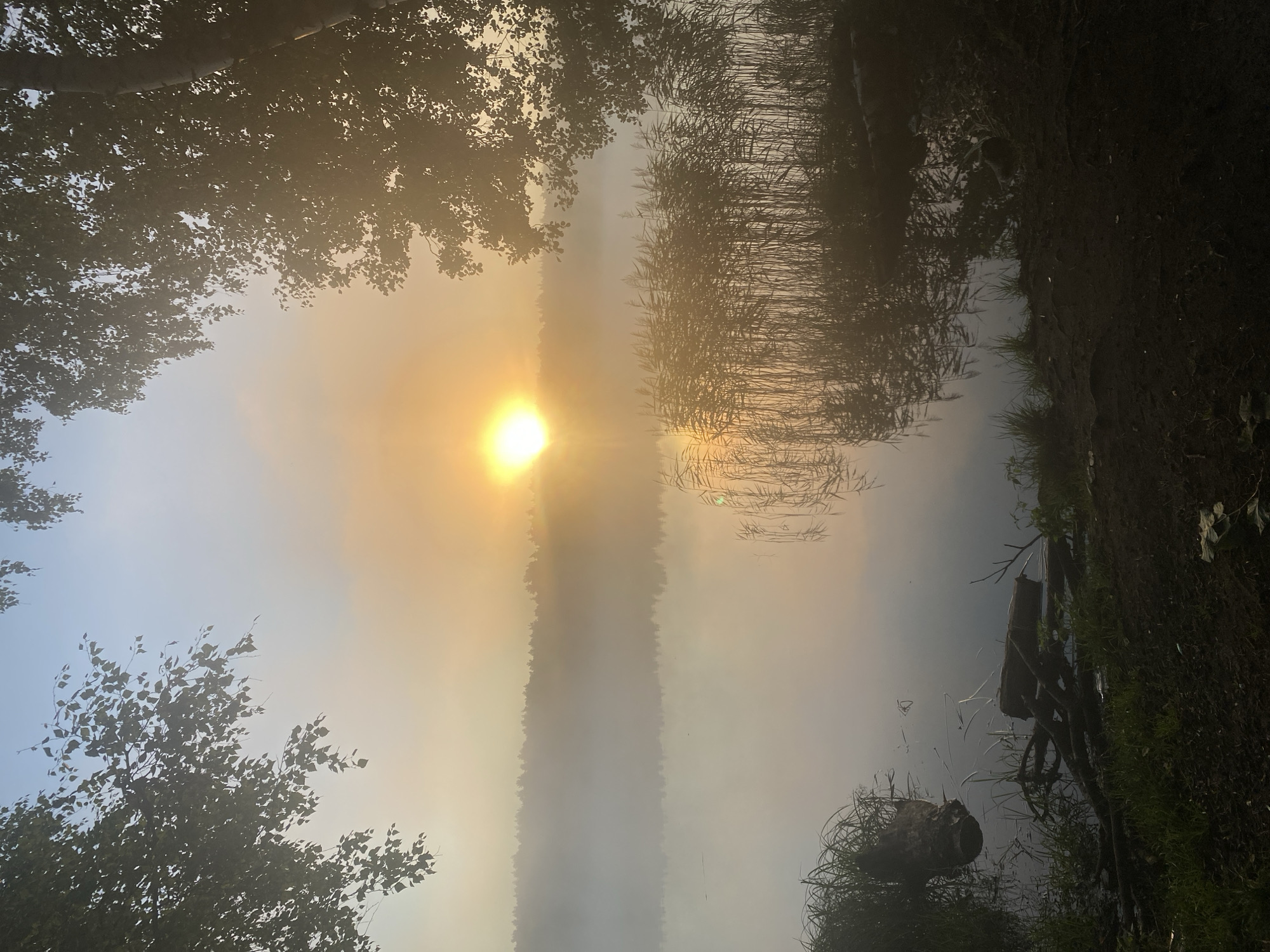 Misty sunrise over a lake in Beloozyorsky, Russia