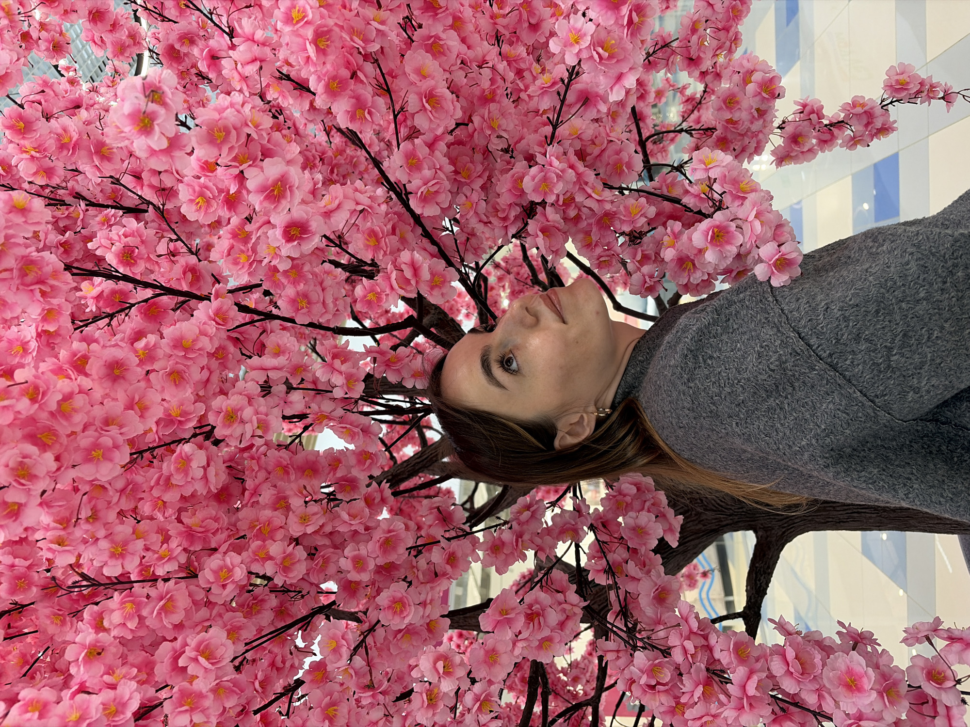 Women pose with cherry blossoms at Izhevsk shopping venue
