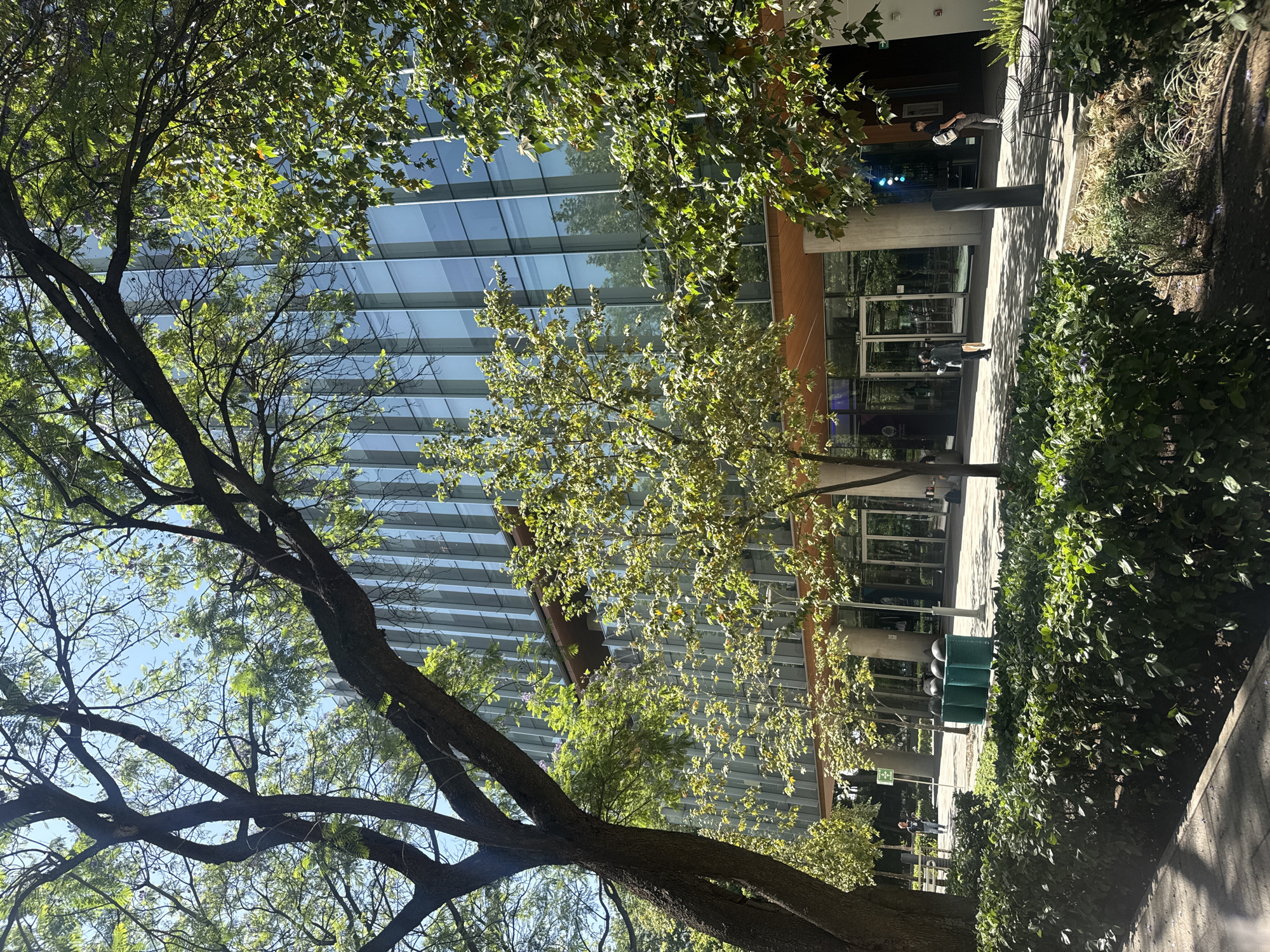 Outdoor food gathering documented in Mexico City parking area