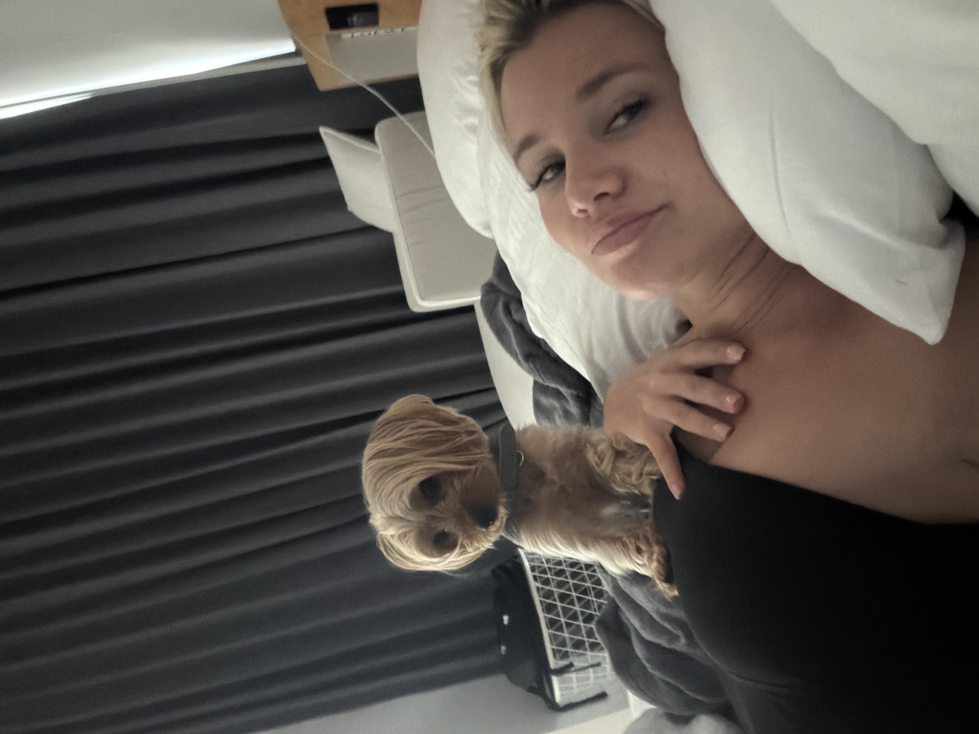 Morning bed time with a Yorkshire Terrier in Thailand
