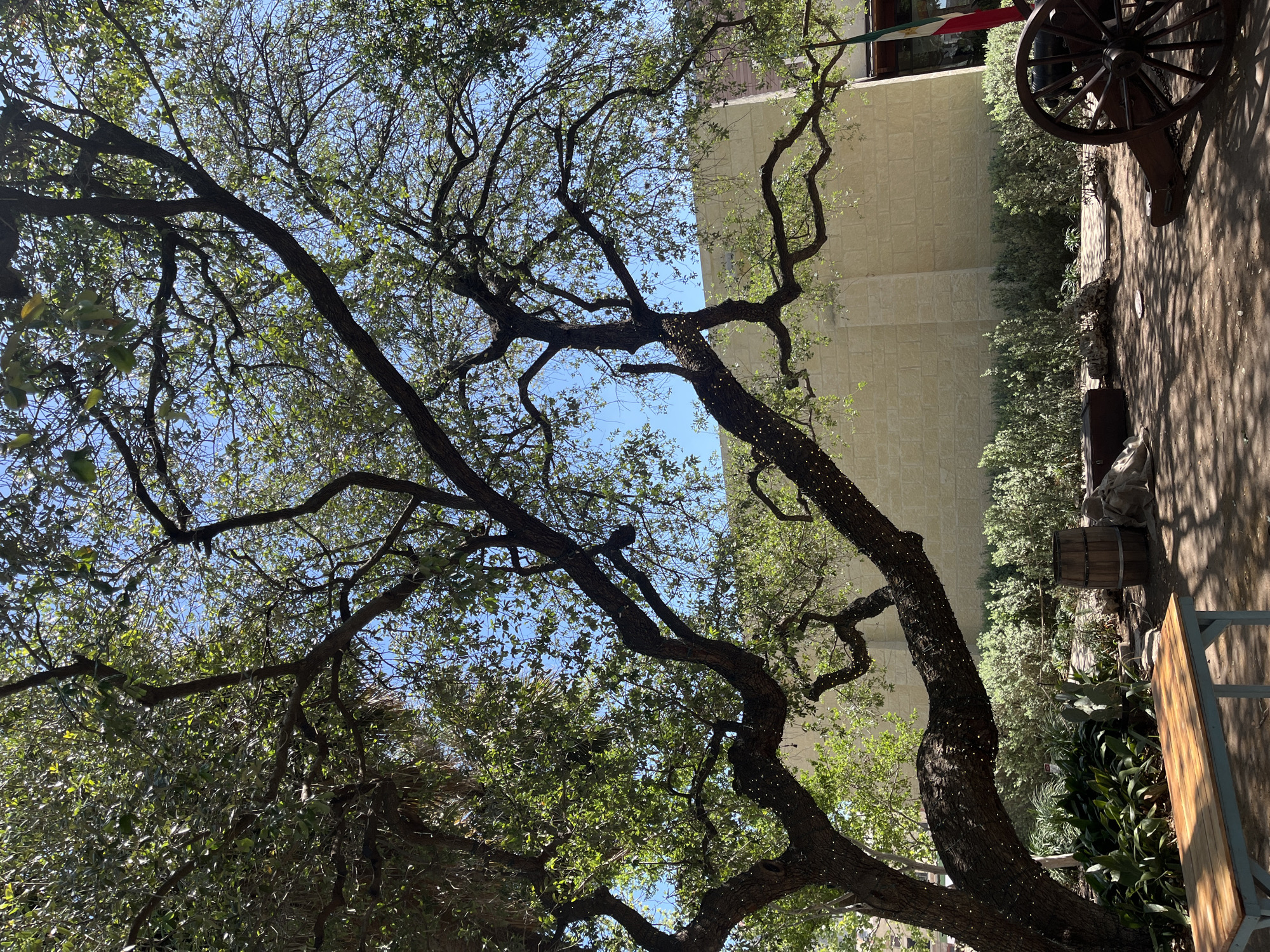 Outdoor display setup observed in downtown San Antonio
