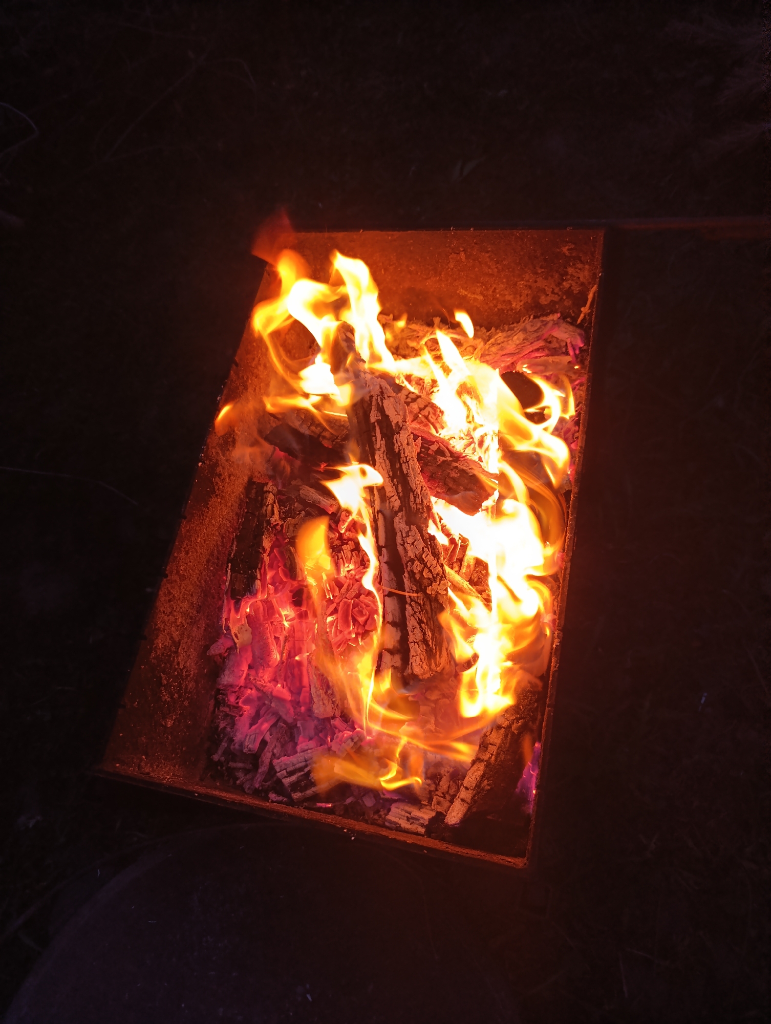 Evening backyard barbecue gathering documented in Botovo, Russia