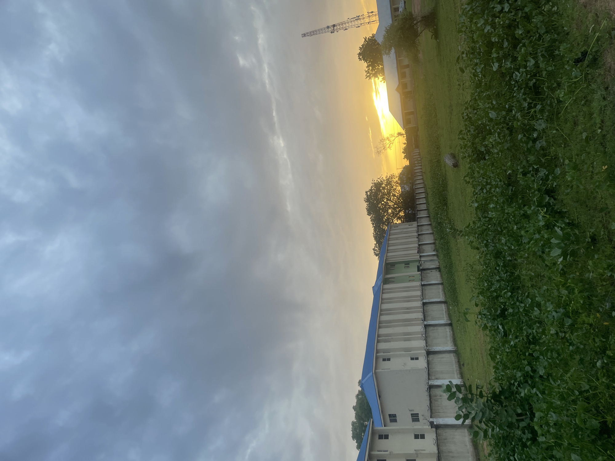 Late afternoon wander around a Jalingo compound and its surroundings