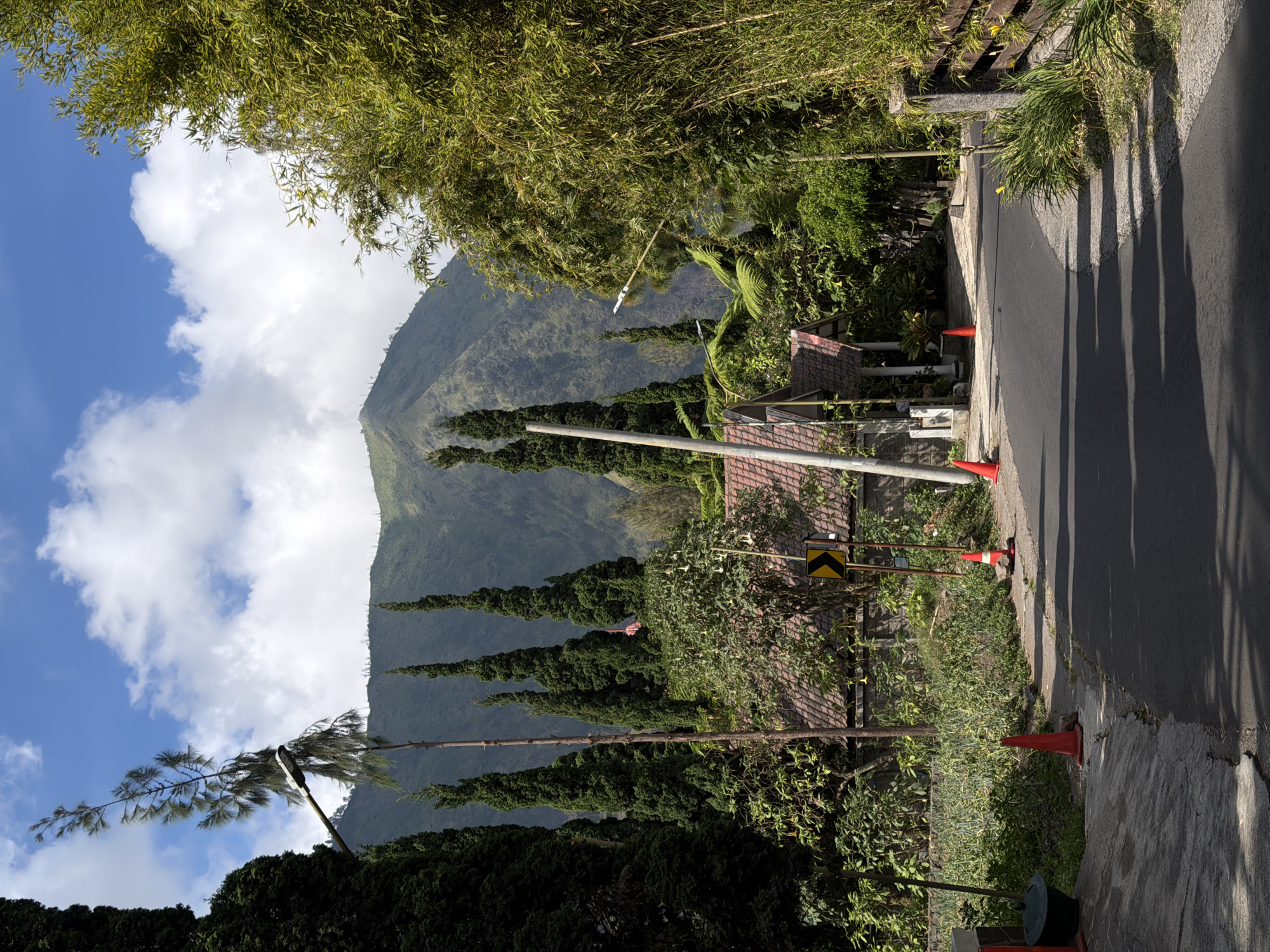 Mountain roads and forest views from a quiet Indonesian village