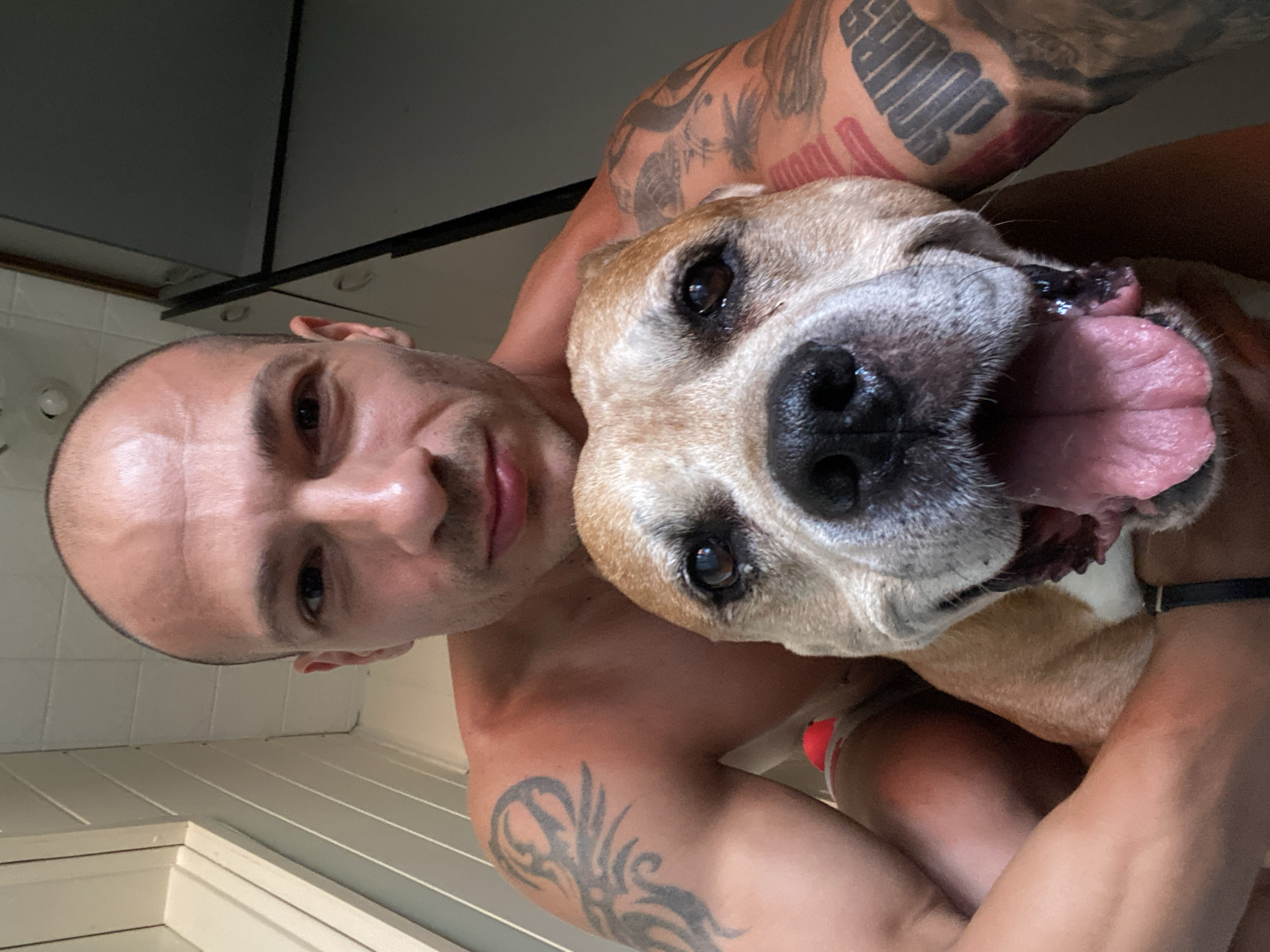 Shirtless, tattooed, and hanging out with a pit bull in Pleven