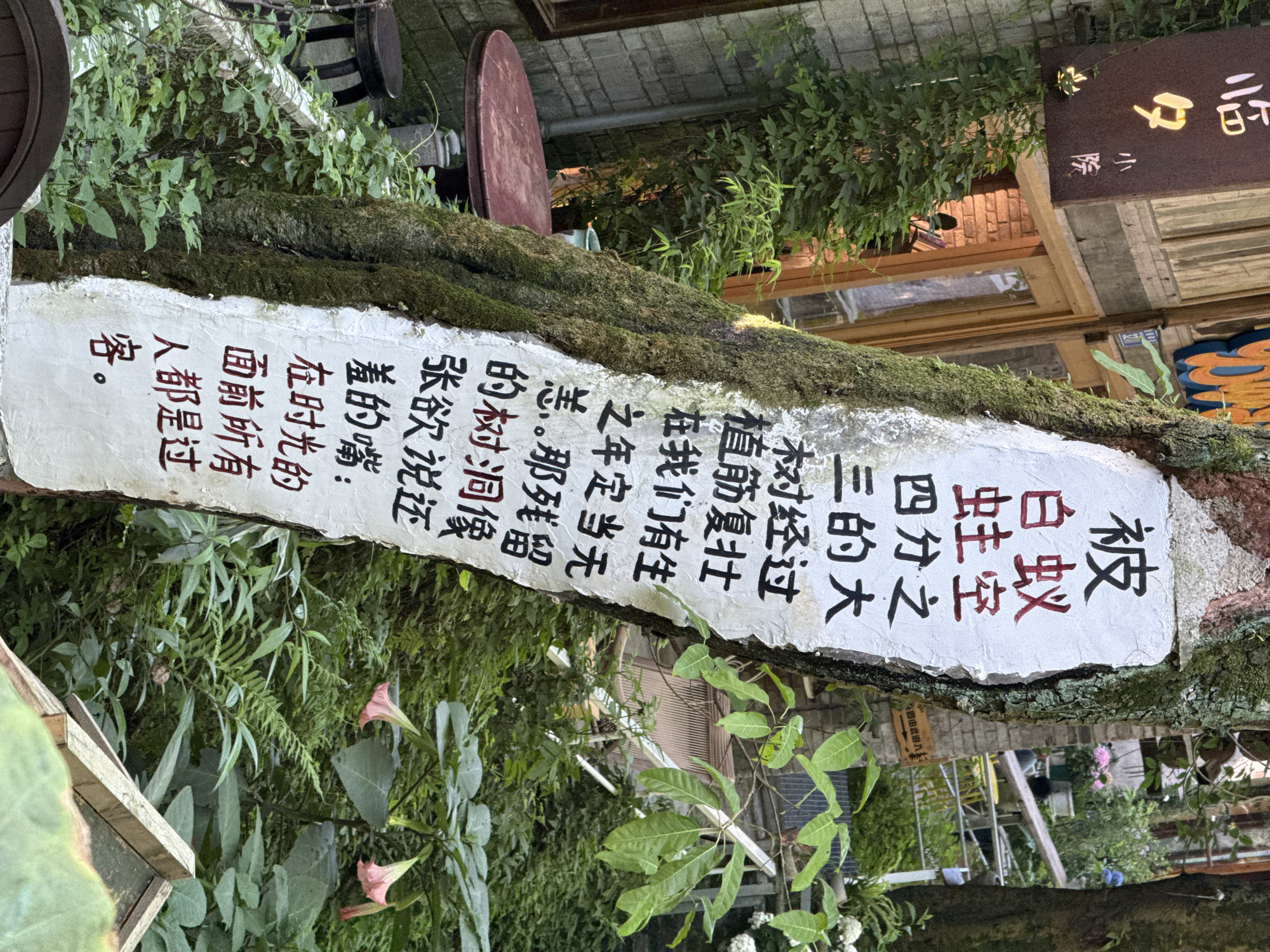Tourist activity captured across scenic Beibei locations during morning hours
