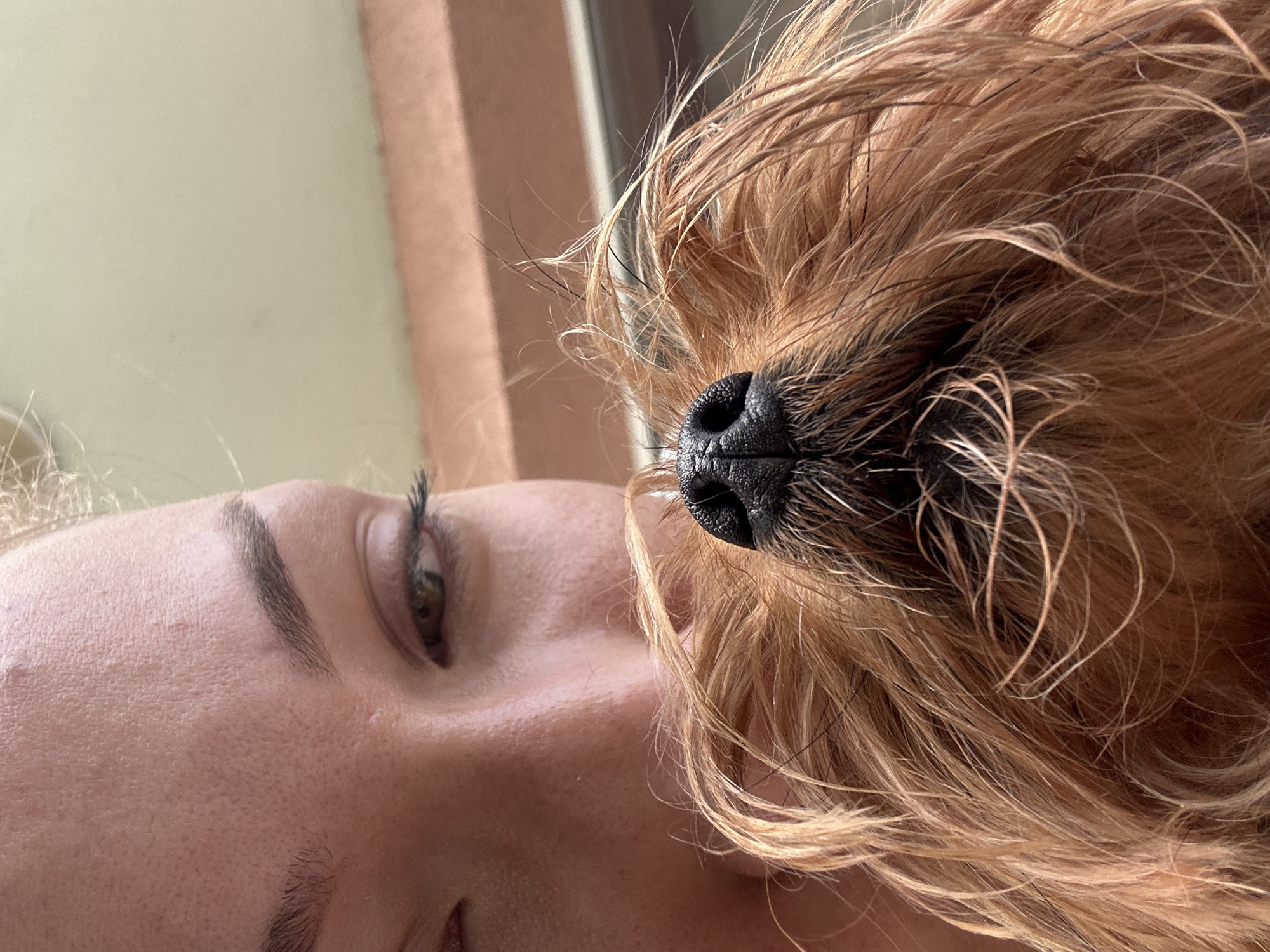 Home cooking session with attentive canine observer in Burgas