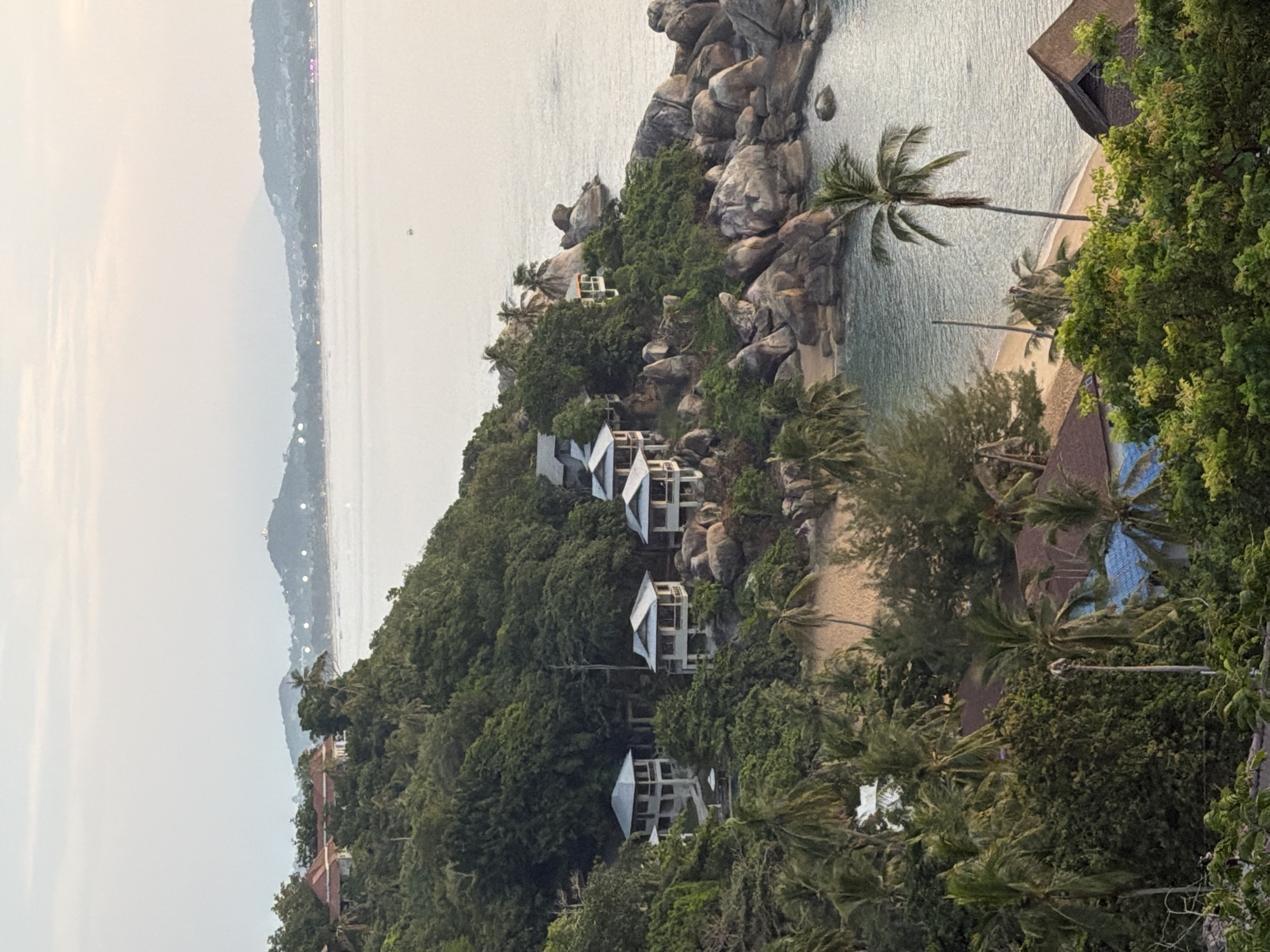 Sunset views from a Ko Samui hillside, cat included