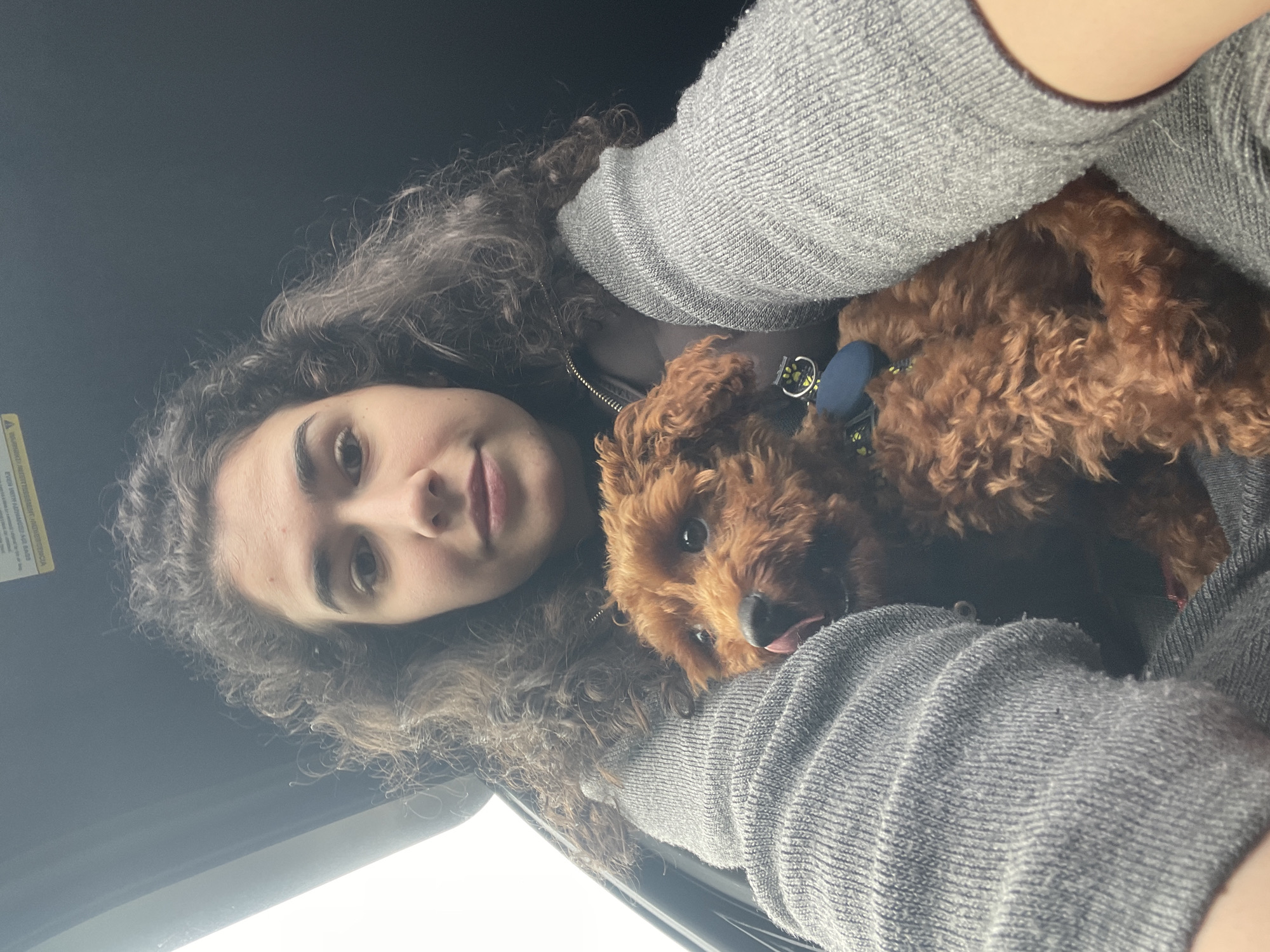 Woman photographed with poodle in car in Sofia