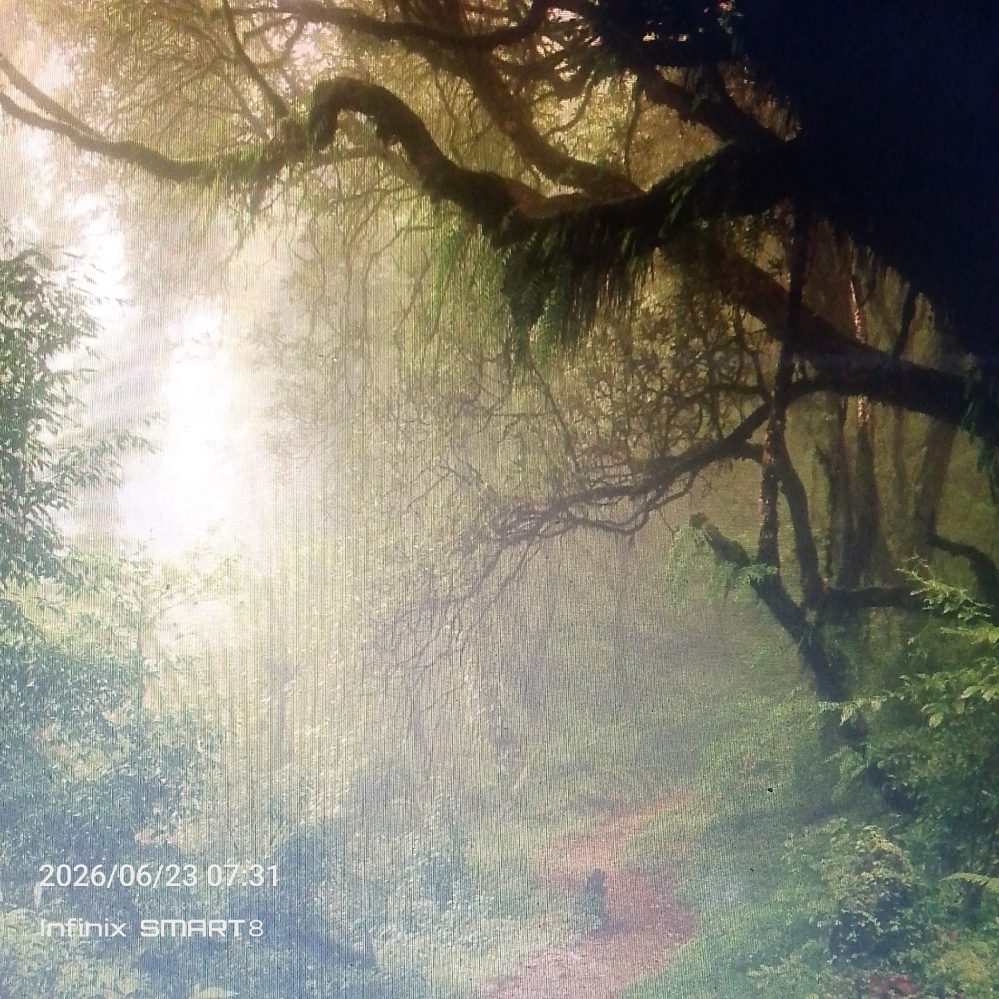 Morning walk through a forested area in Jos, Nigeria