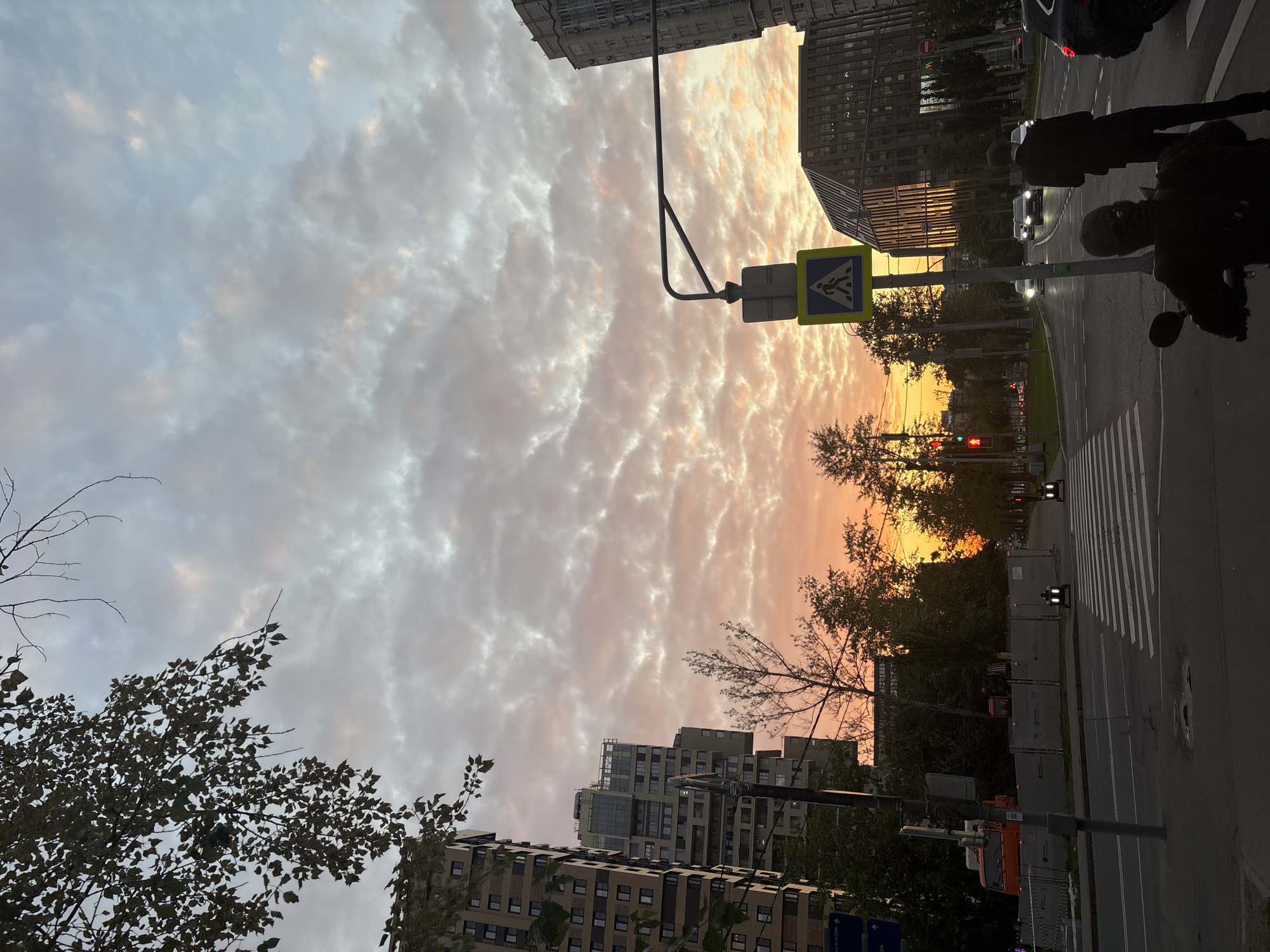 Sunset city stroll, dinner at Frank, slugs on the side