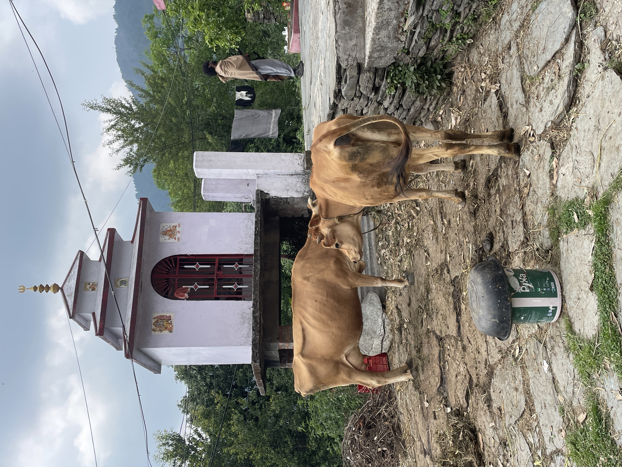 Morning life documented in mountain village Haini, India