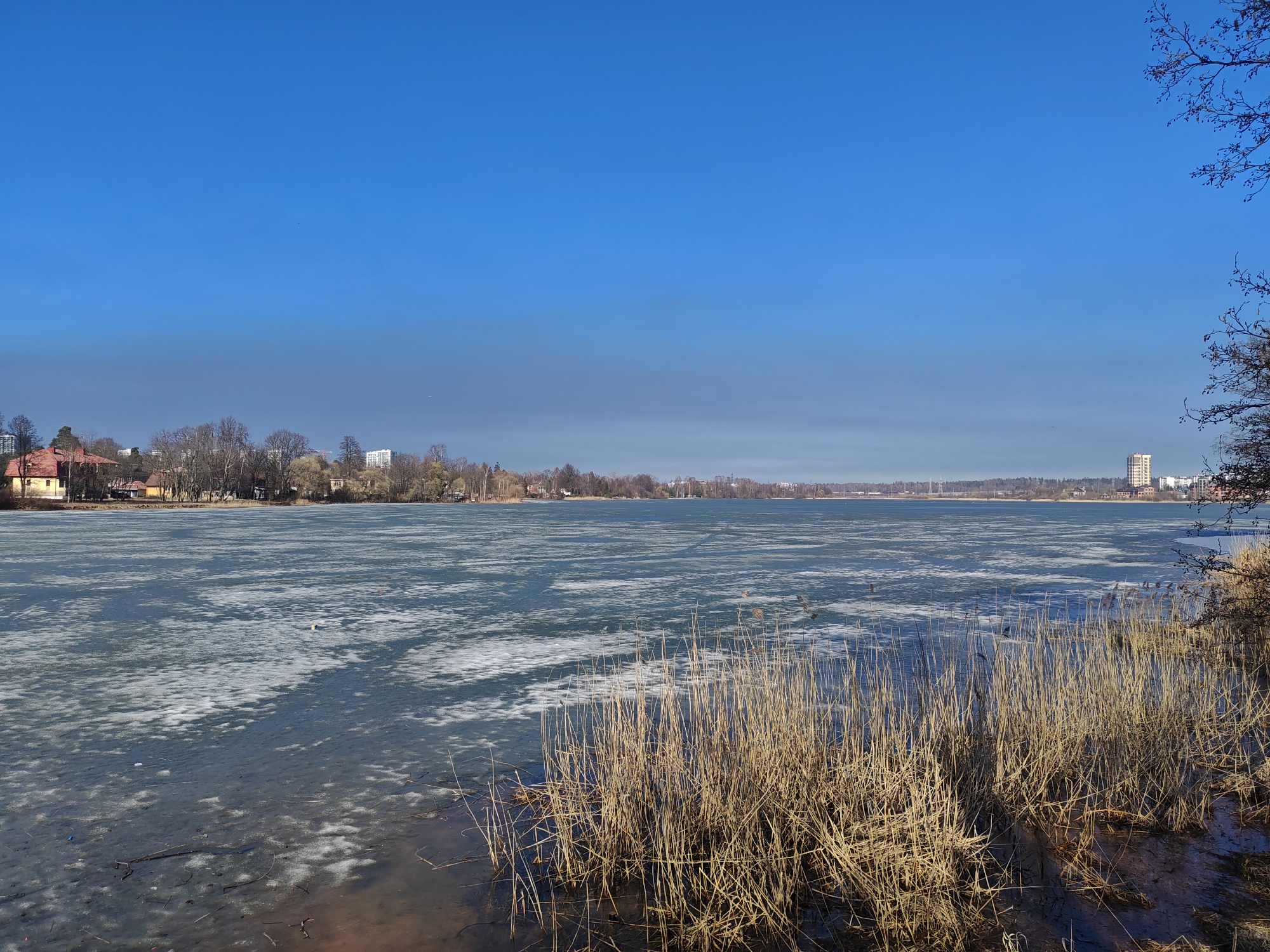 Late winter scenes documented across Saint Petersburg parks and streets