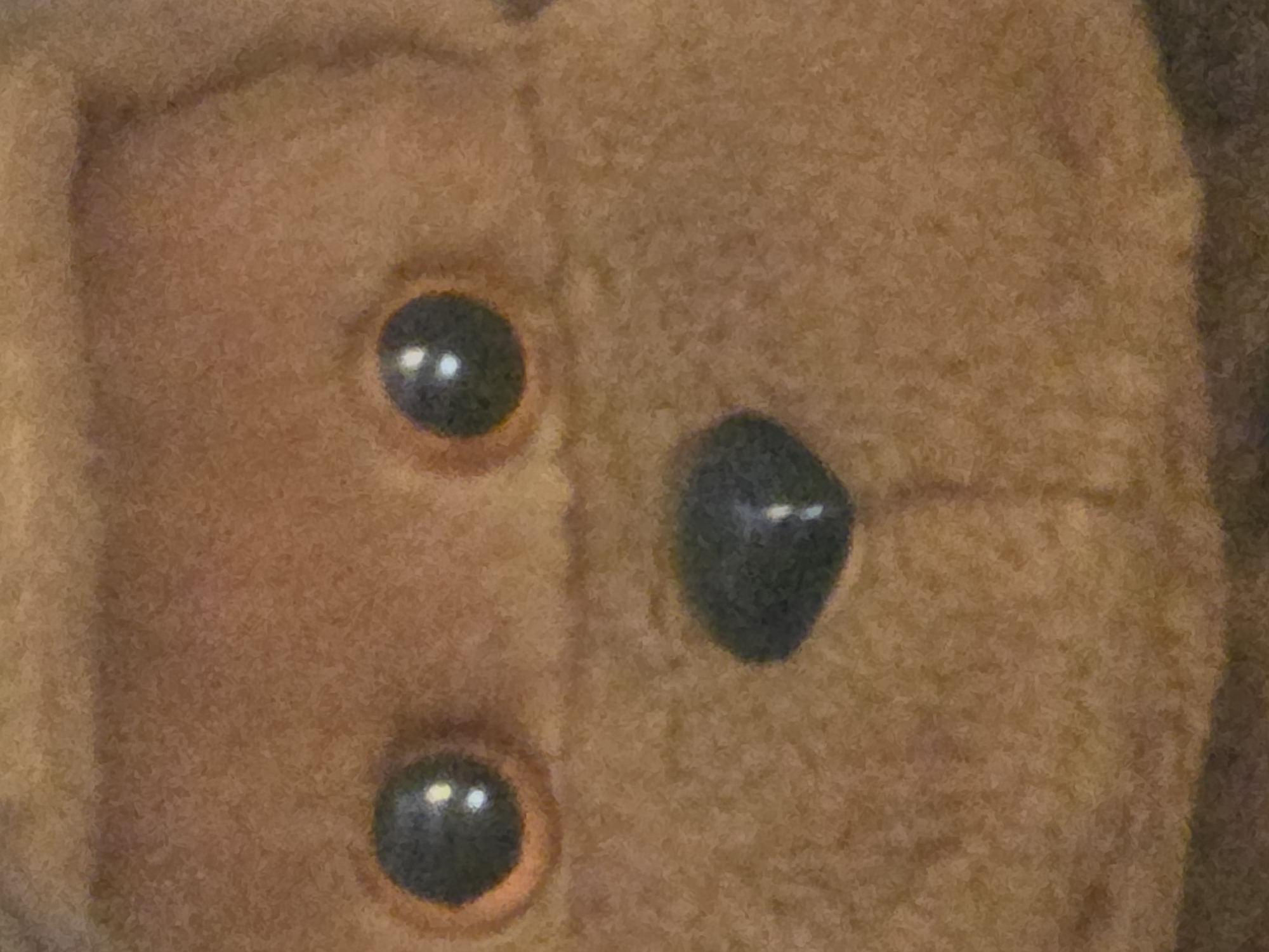 Stickers, graffiti tags, and plush toys in close-up