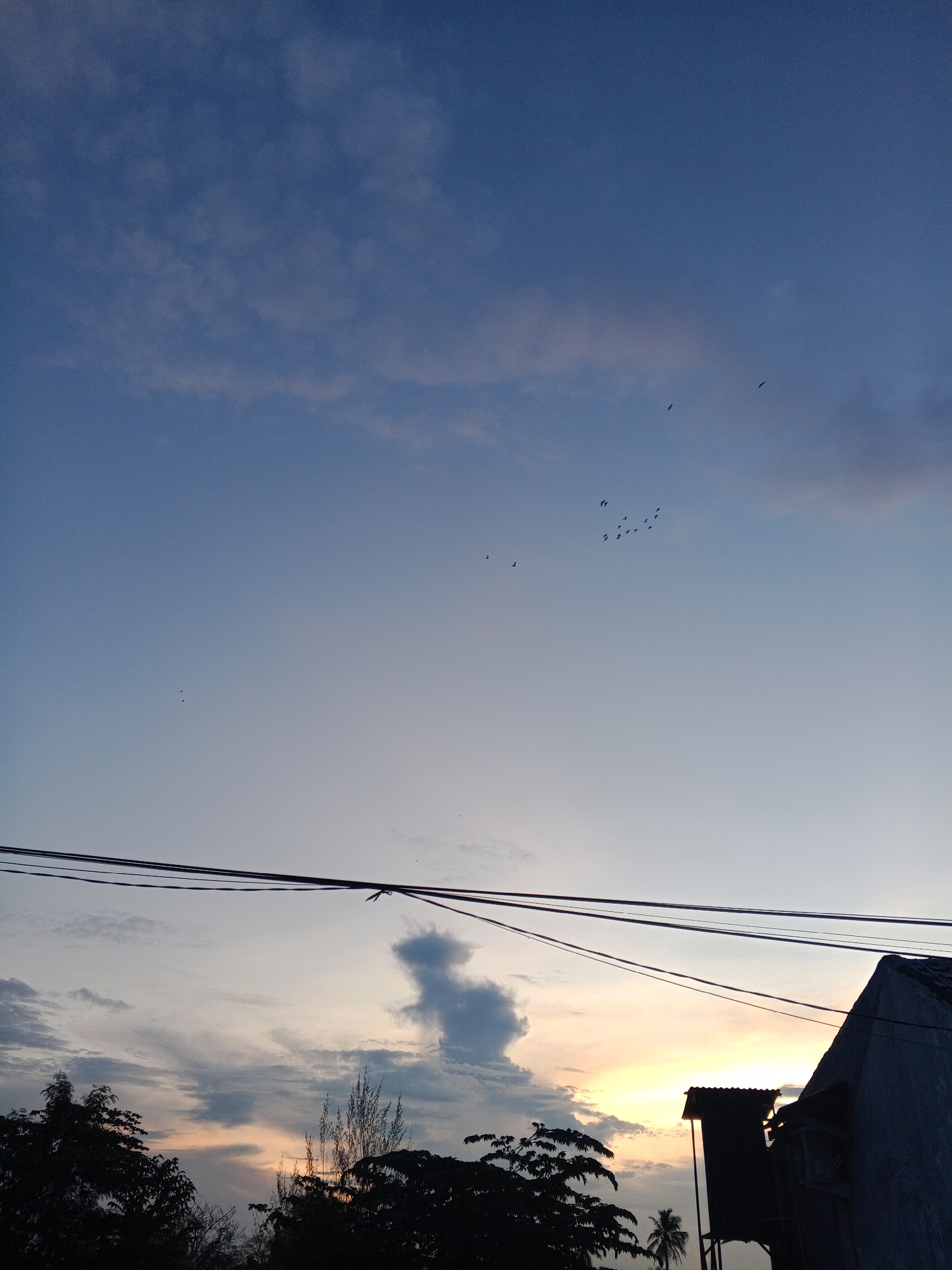 Birds fly at dusk in Lhokseumawe, Indonesia