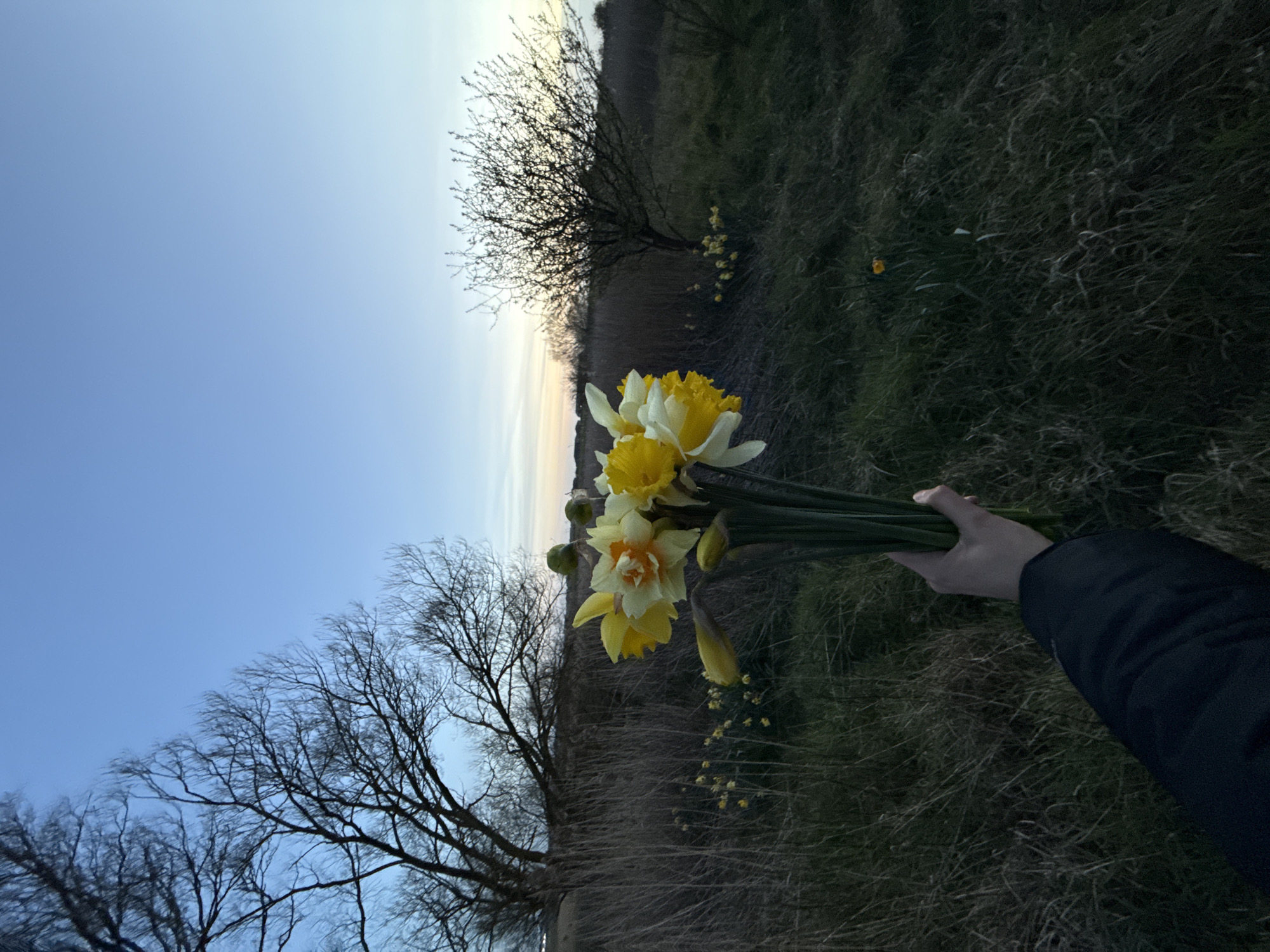 Spring flowers and coastal views captured in Great Yarmouth