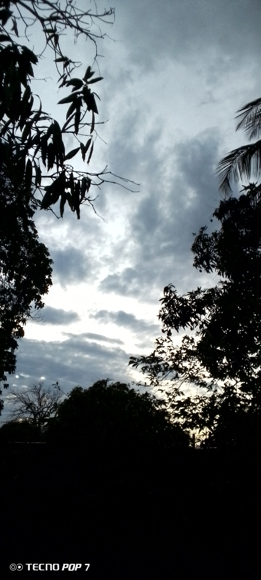 Overcast evening skies over a residential yard in Altagracia