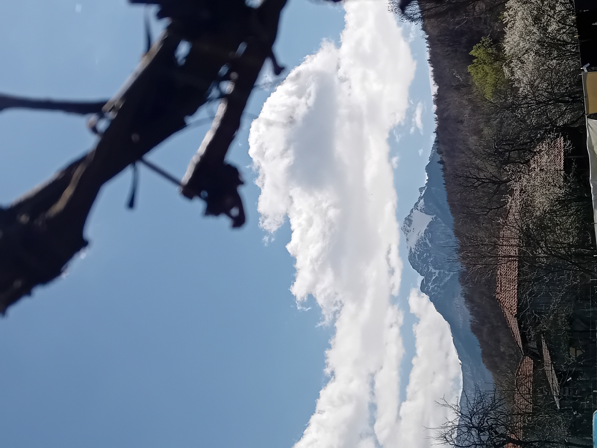 Spring walk documented through mountainous countryside with livestock and gardens