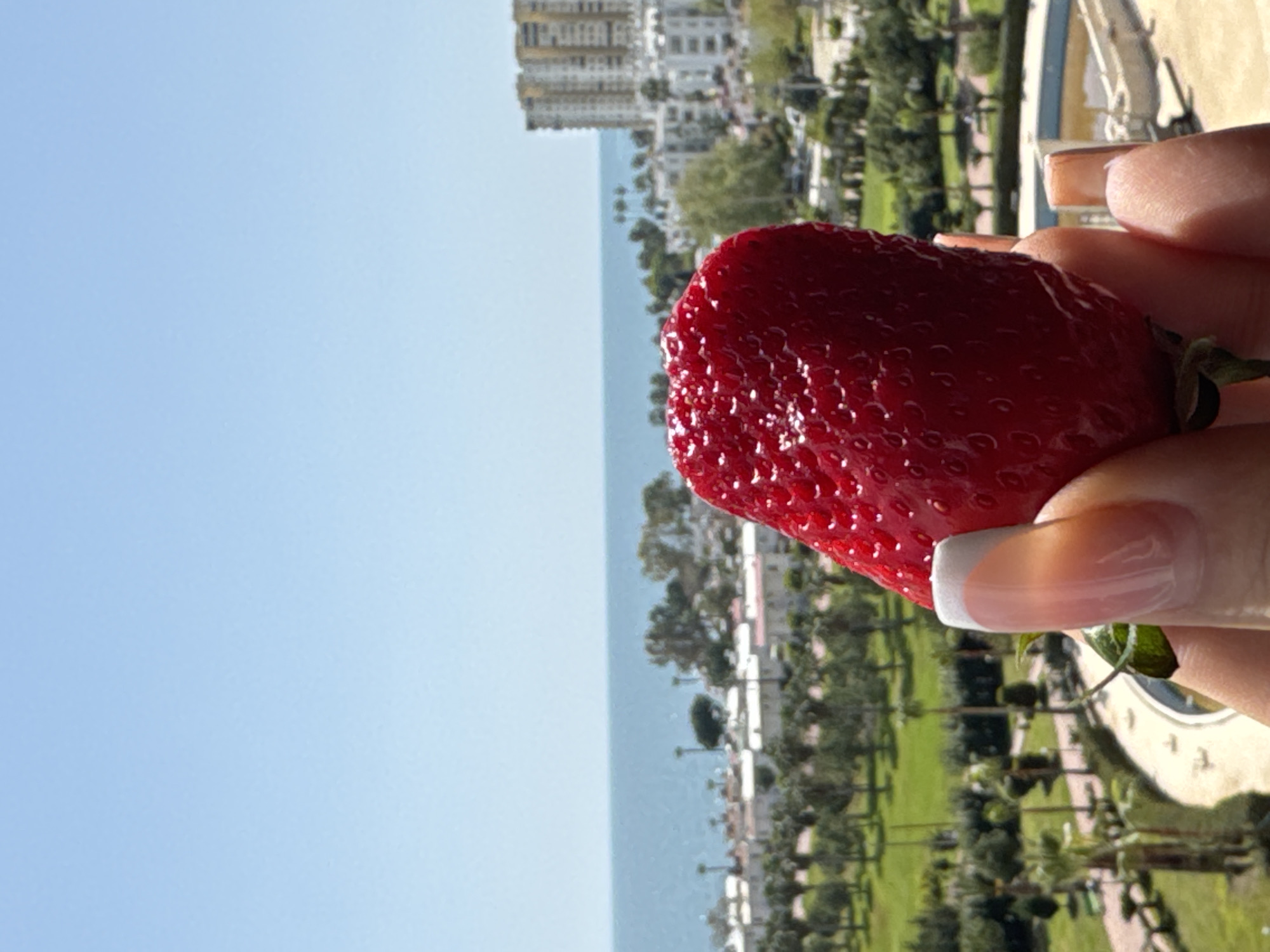 Person displays large strawberry with French manicure in Erdemli